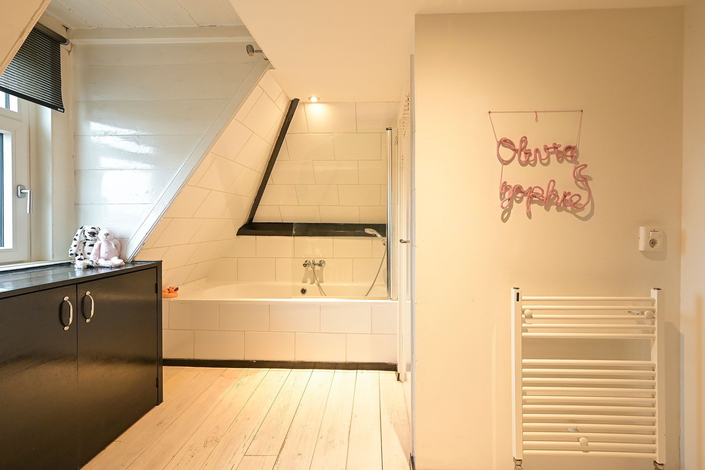 Koningin Emmakade 97 Photo Blur 20