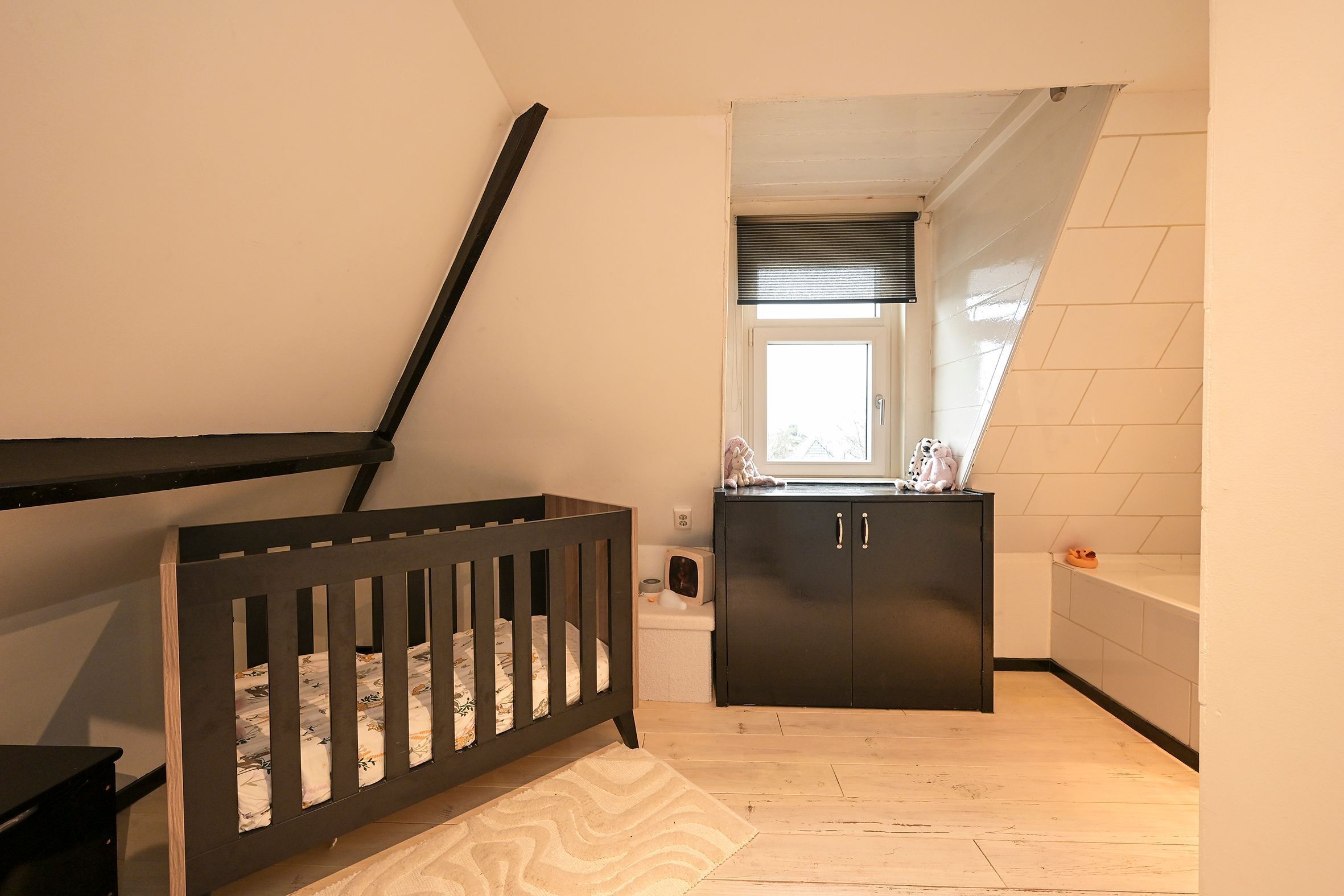 Koningin Emmakade 97 Photo Blur 19