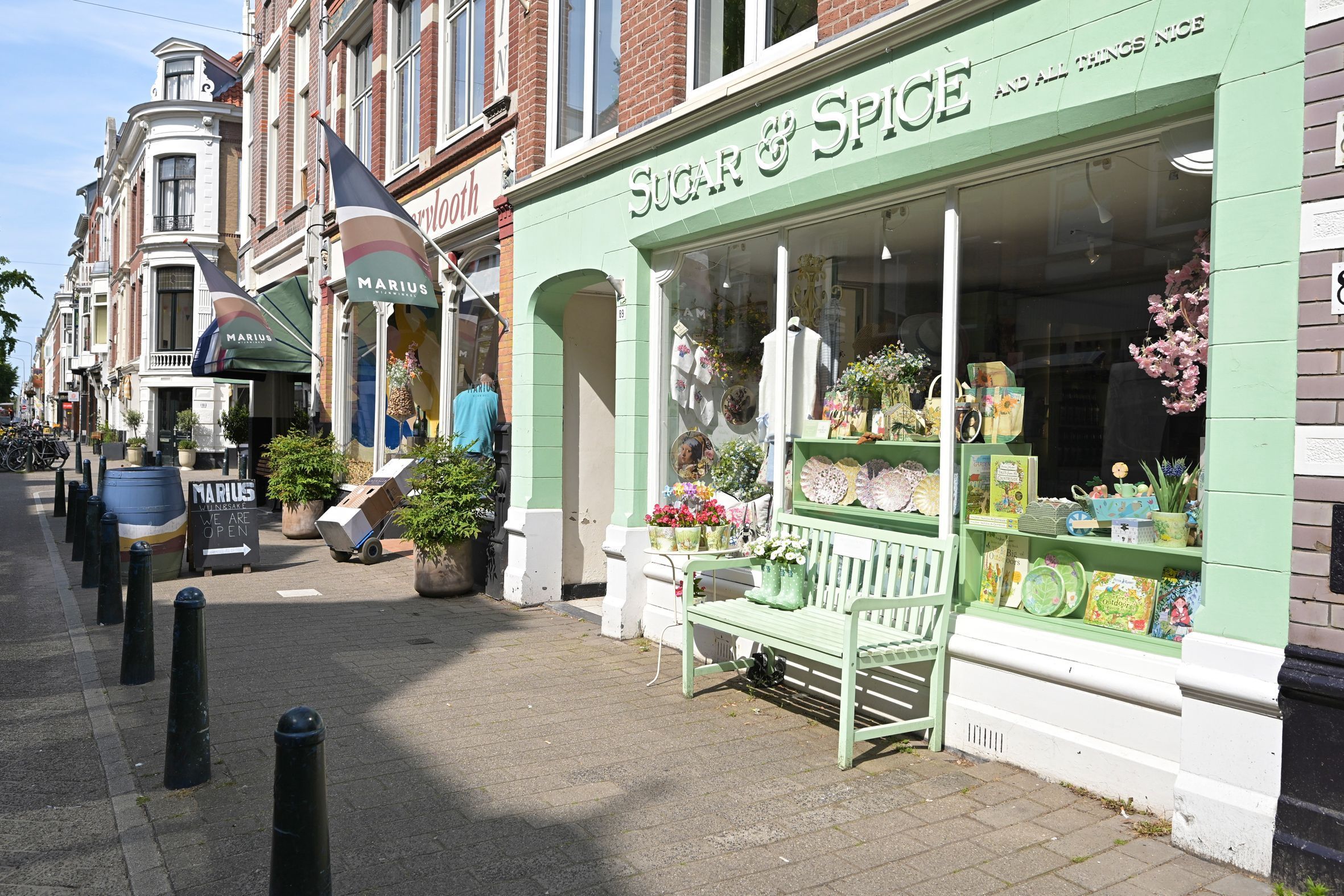 Koningin Emmakade 97 Photo Blur 26