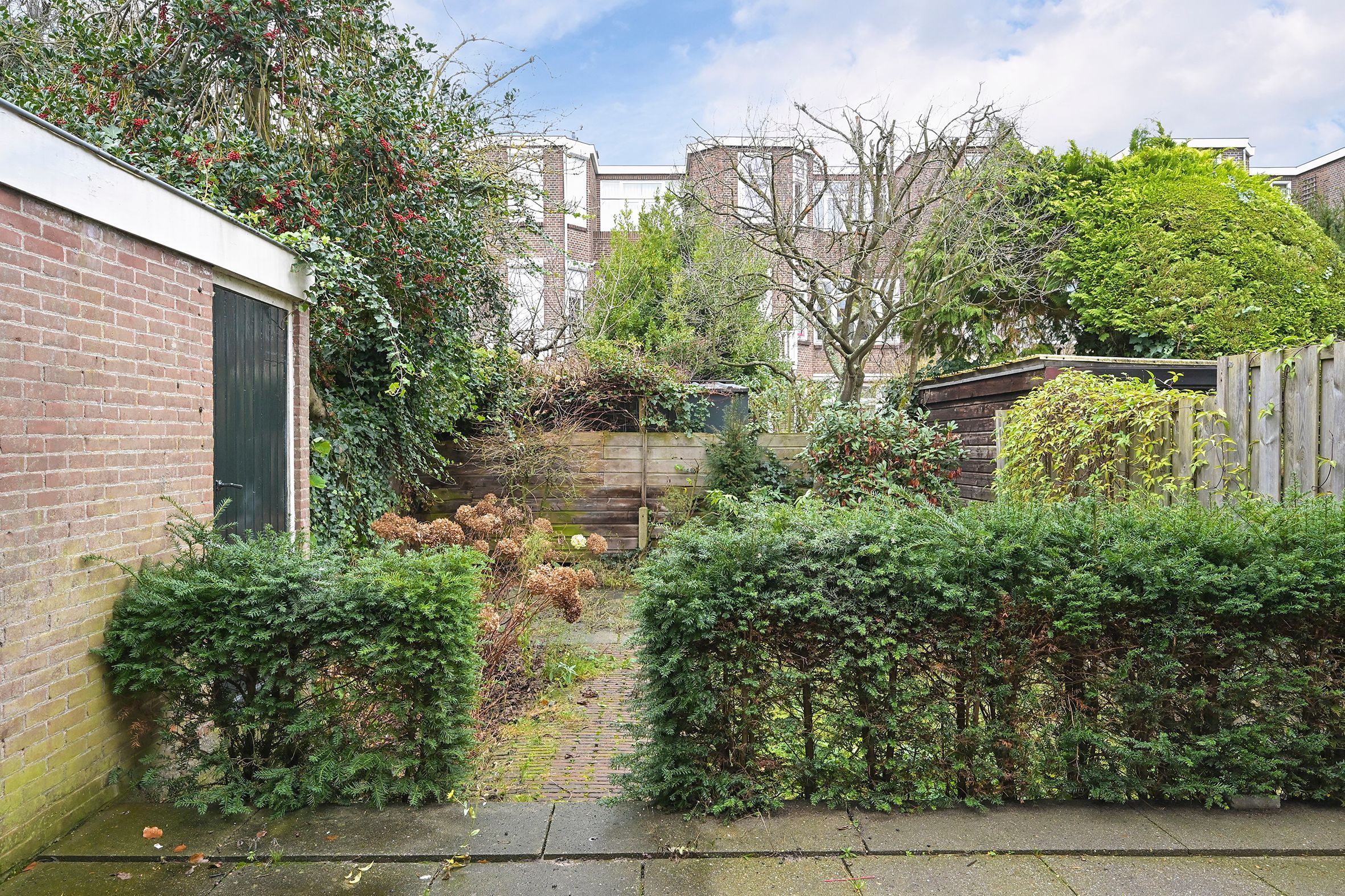 Roelofsstraat 36 Photo Blur 8