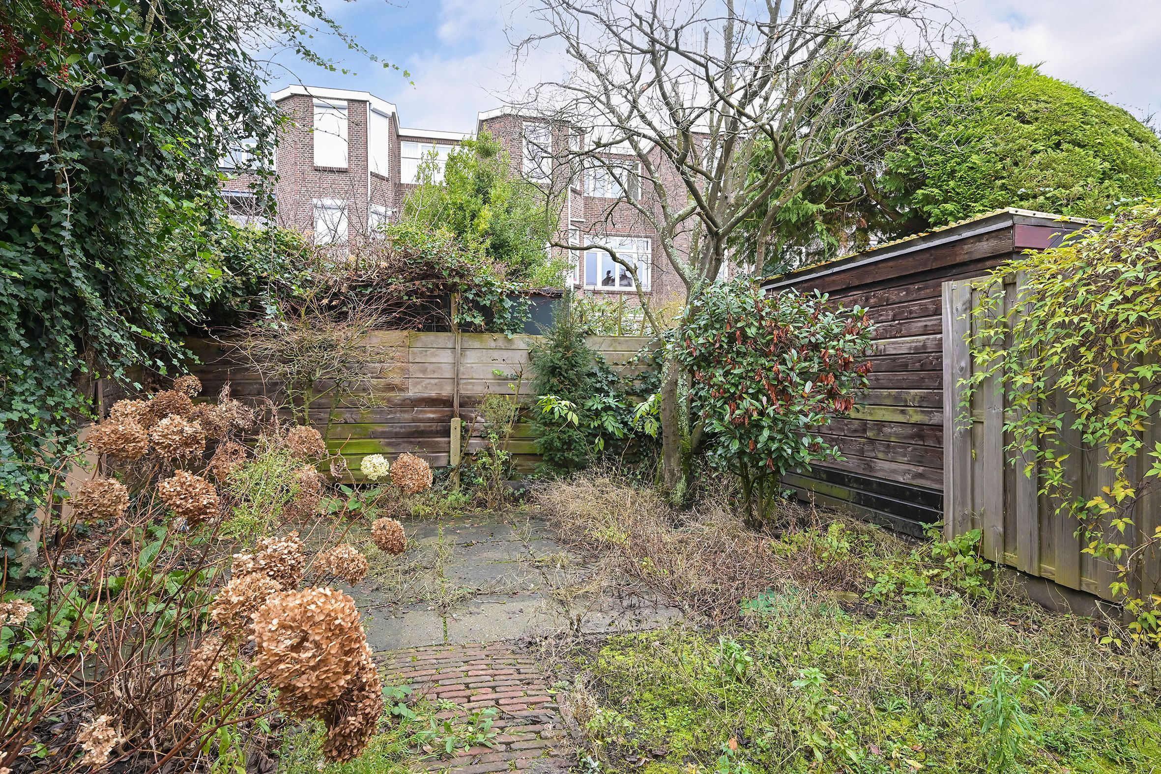 Roelofsstraat 36 Photo Blur 10