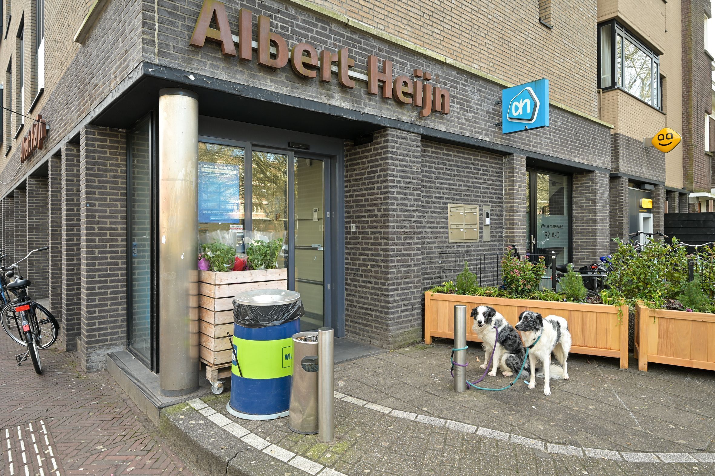 Roelofsstraat 36 Photo Blur 29