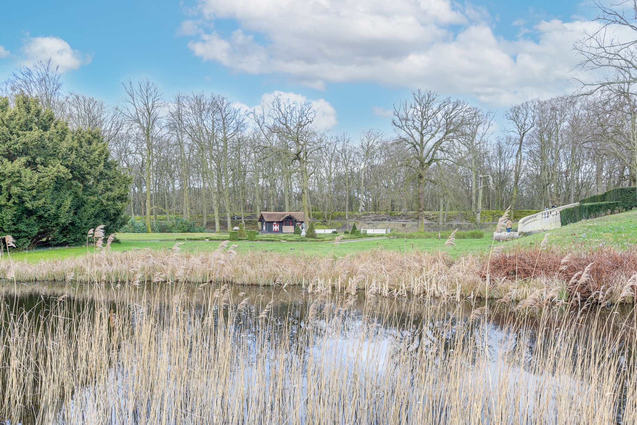 Van Neckstraat 102 Photo Blur 26