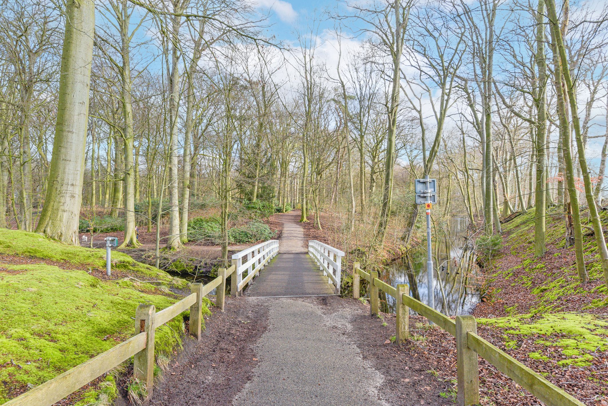 Van Neckstraat 102 Photo Blur 25