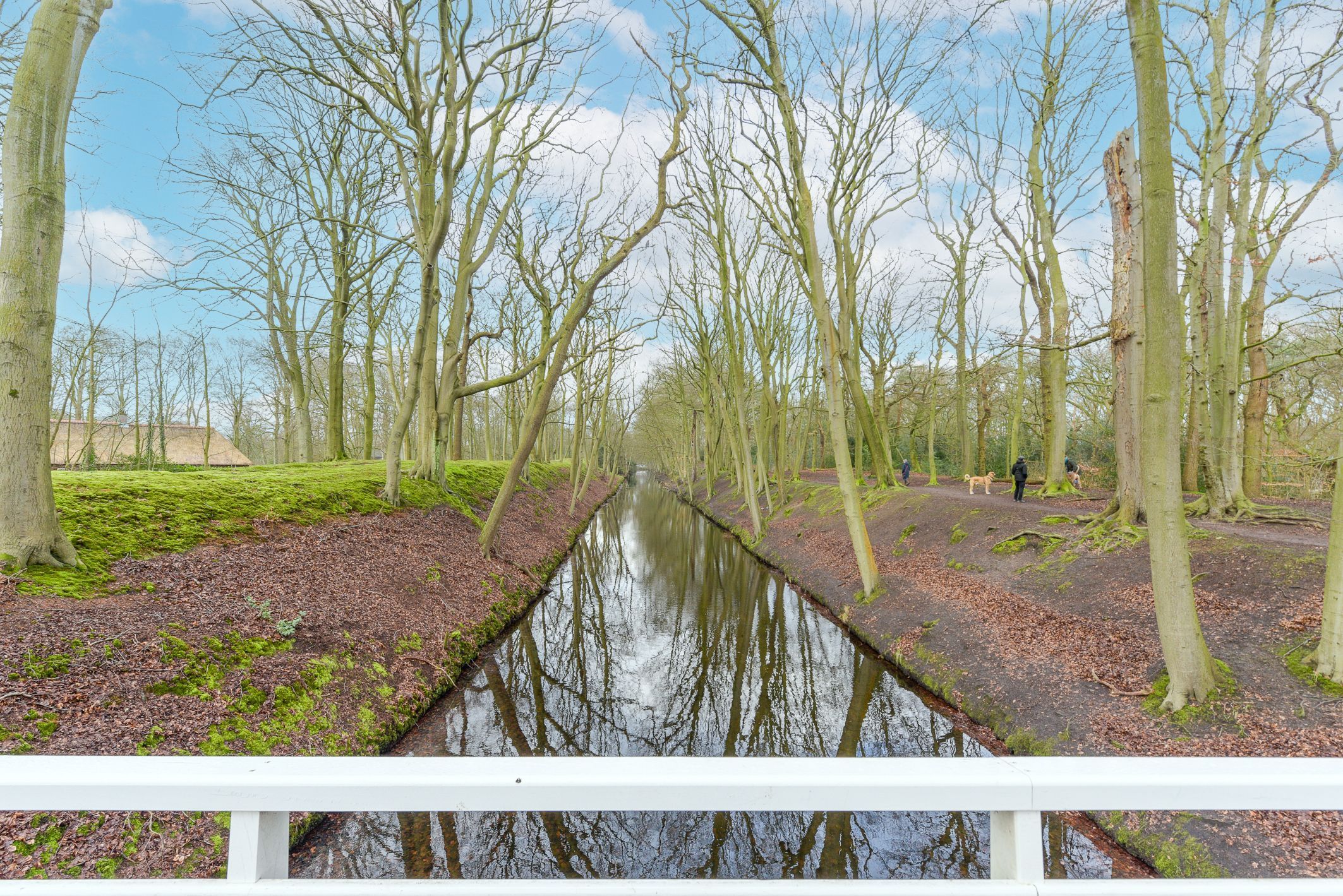 Van Neckstraat 102 Photo Blur 28