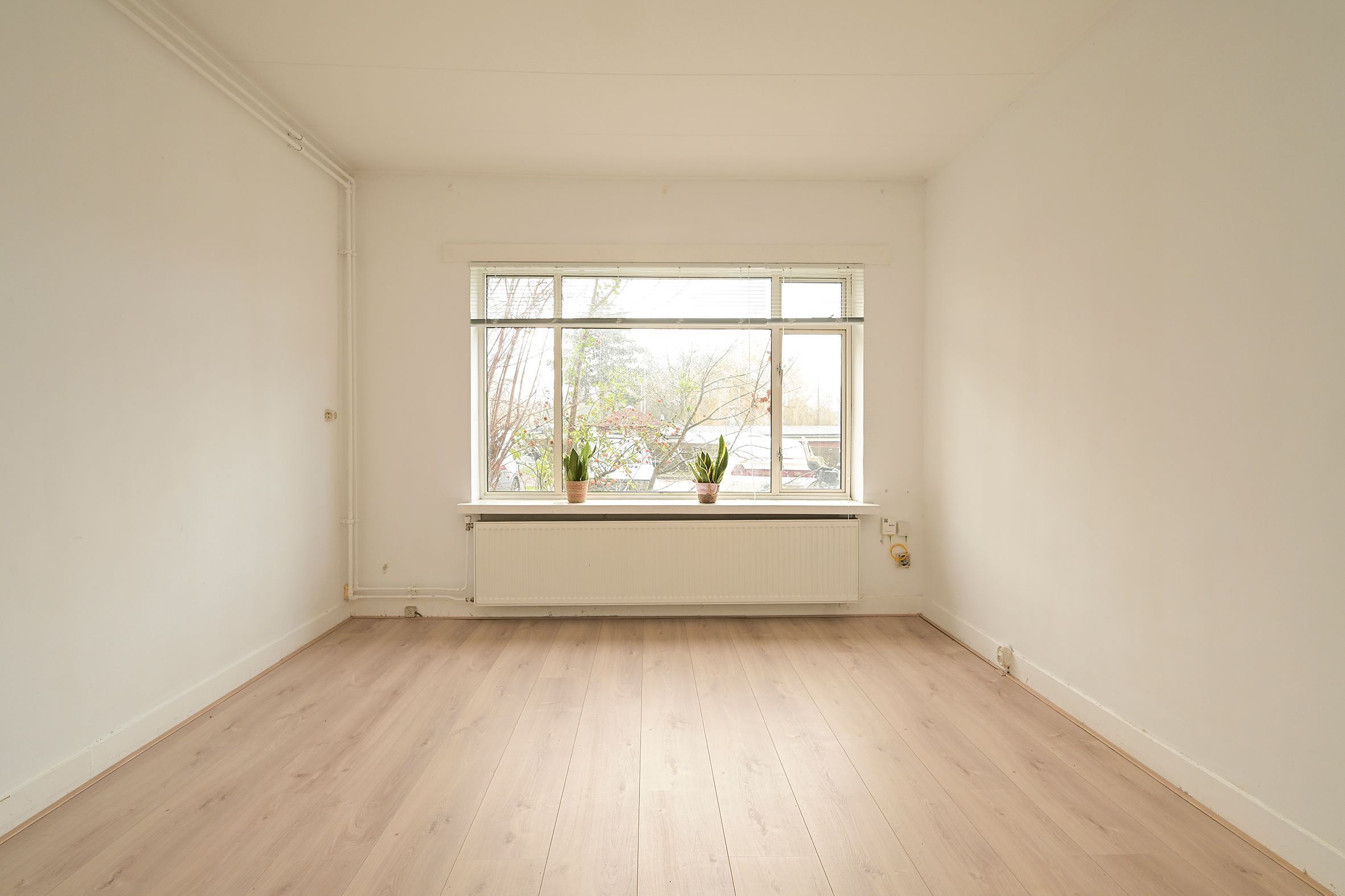 Soestdijksekade 1052 Photo Blur 3