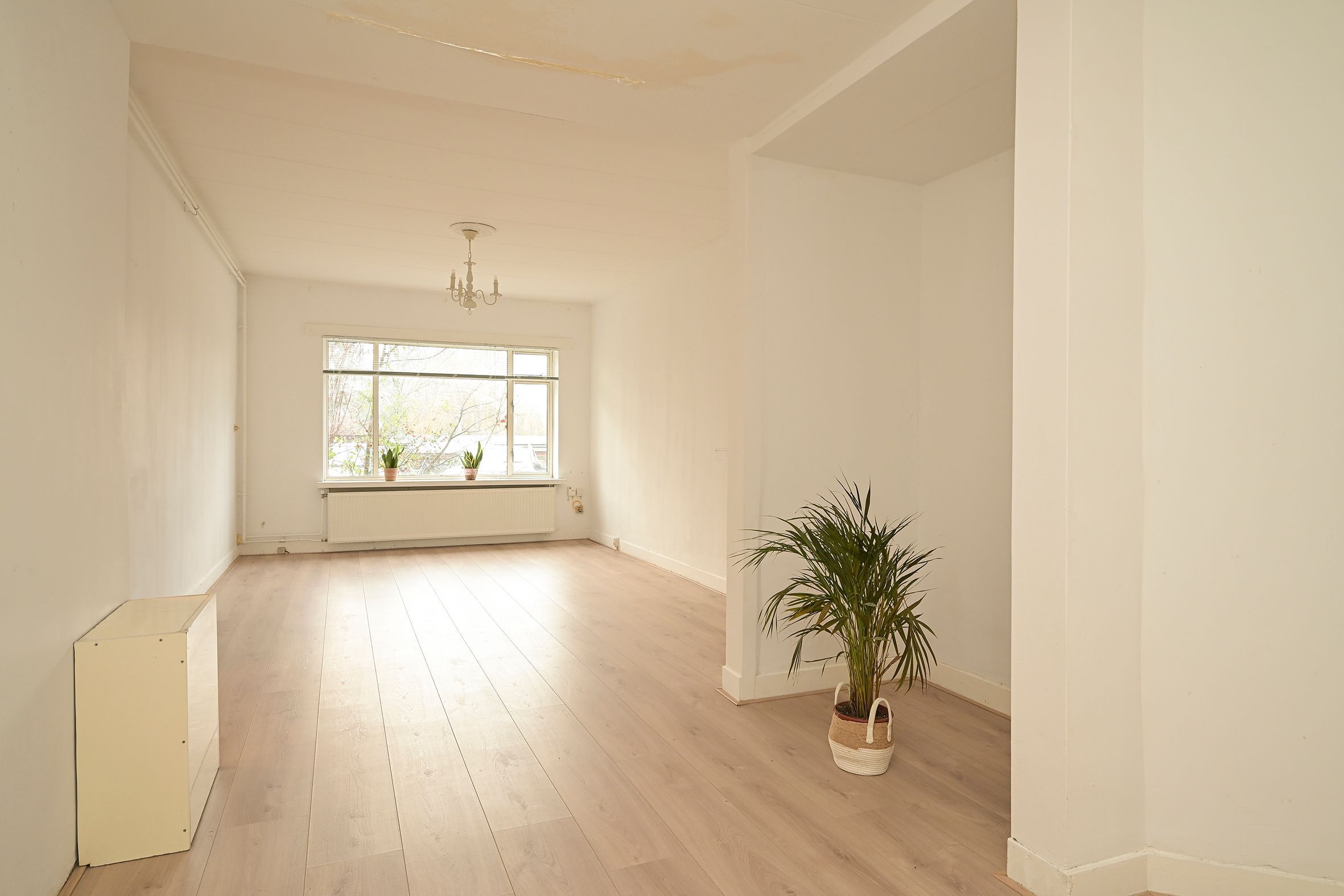 Soestdijksekade 1052 Photo Blur 7