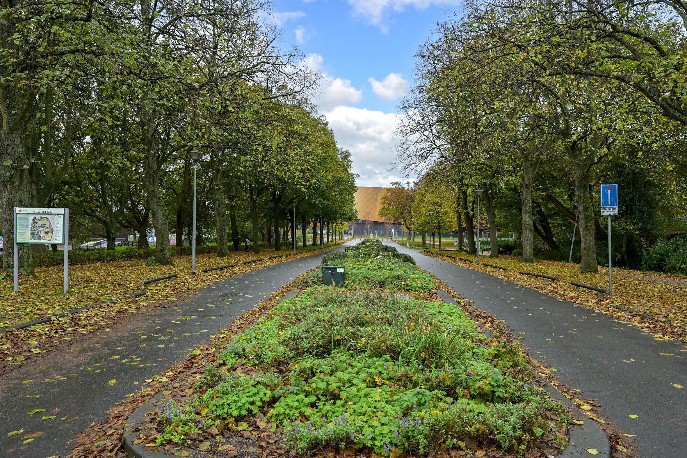 Soestdijksekade 1052 Photo Blur 19