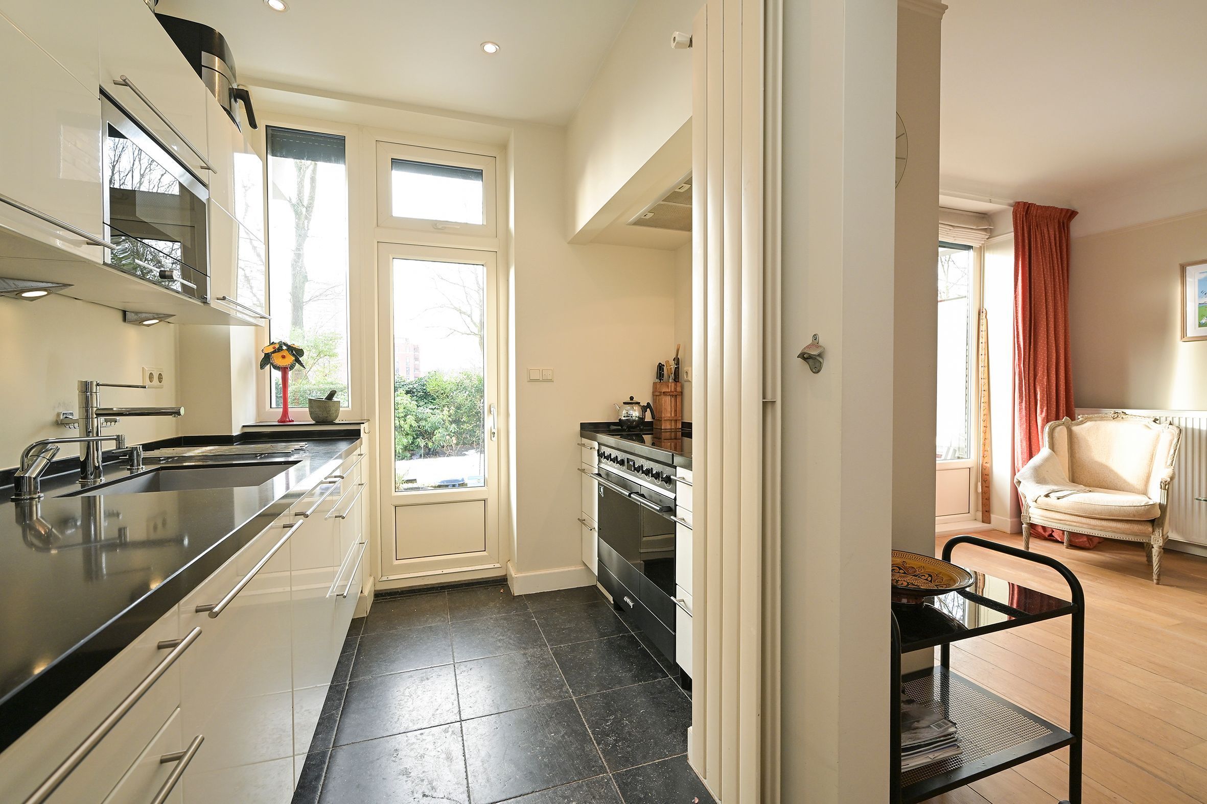 Van Alkemadelaan 646 Photo Blur 21