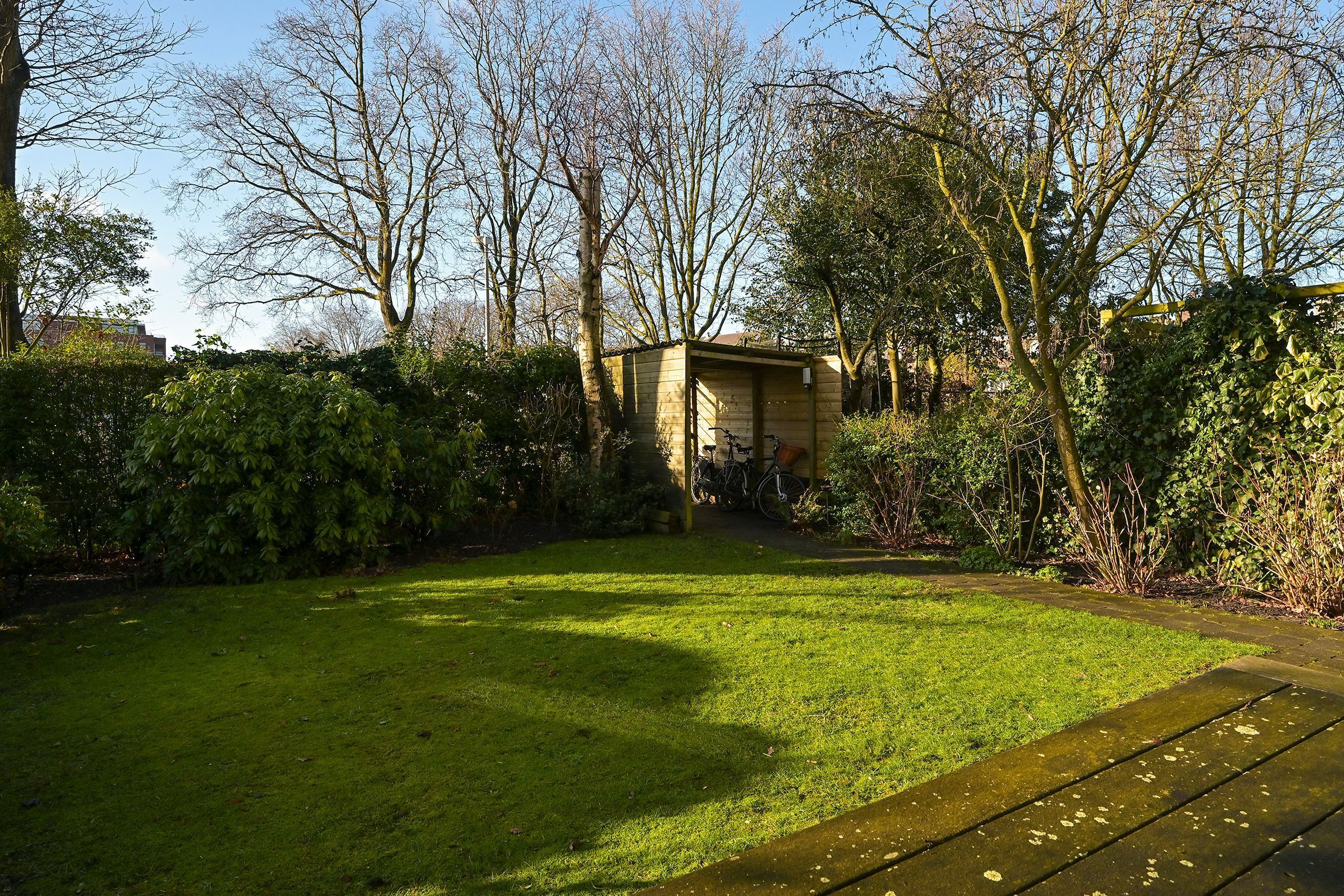 Van Alkemadelaan 646 Photo Blur 0