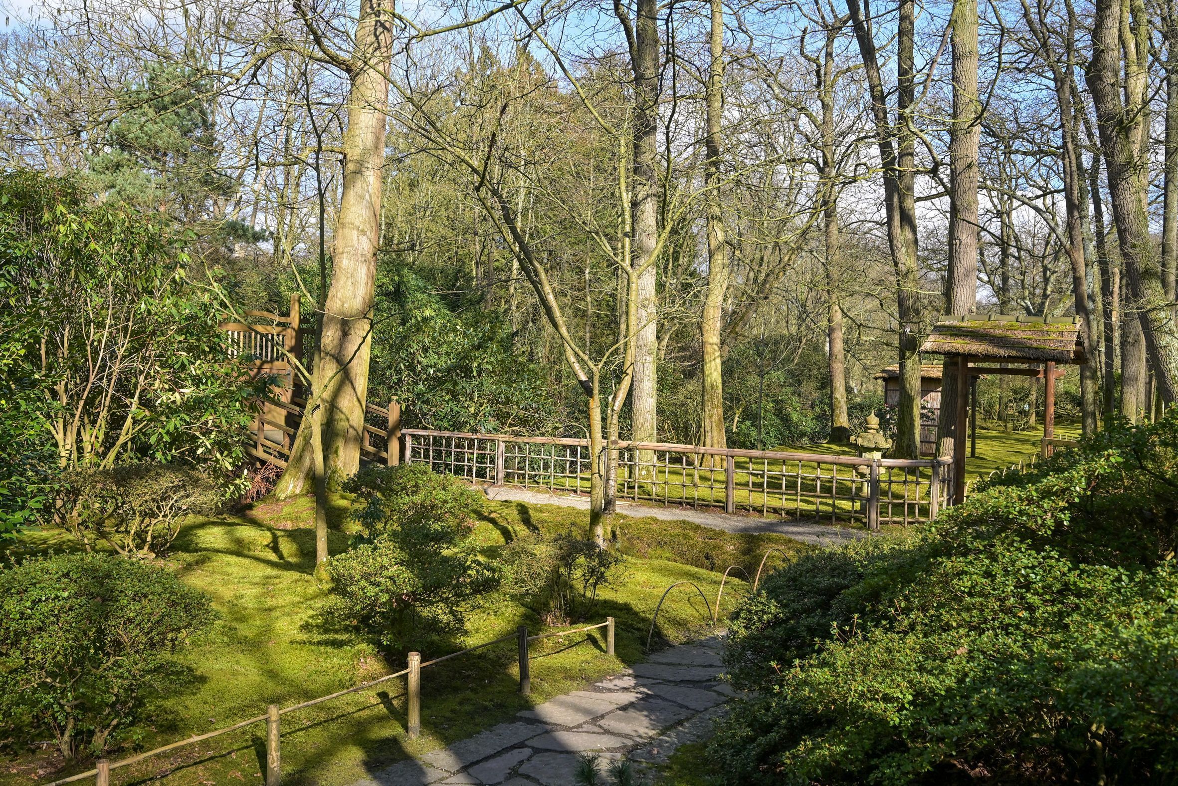 Van Alkemadelaan 646 Photo Blur 38