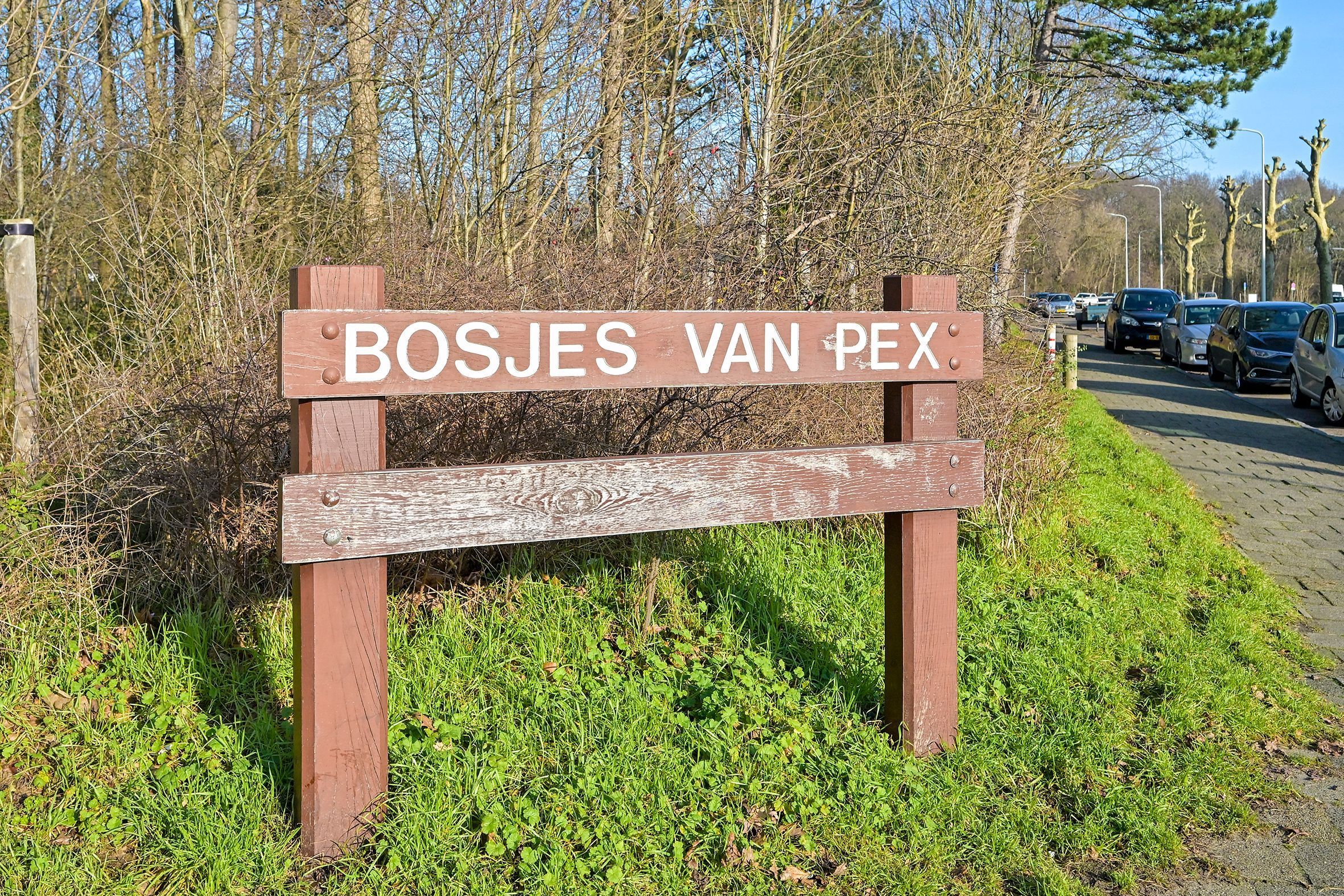 Thorbeckelaan 727 Photo Blur 24