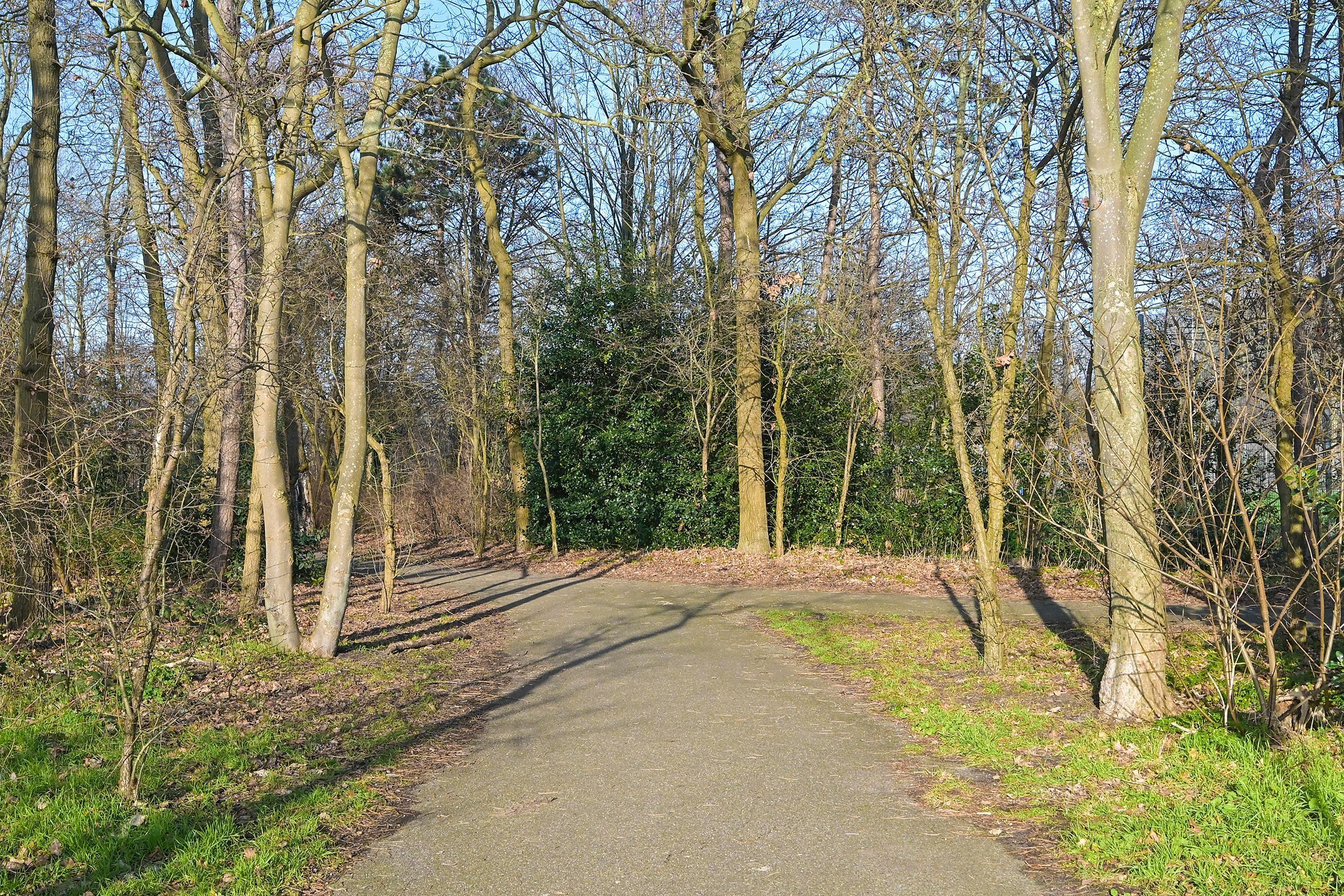 Thorbeckelaan 727 Photo Blur 25