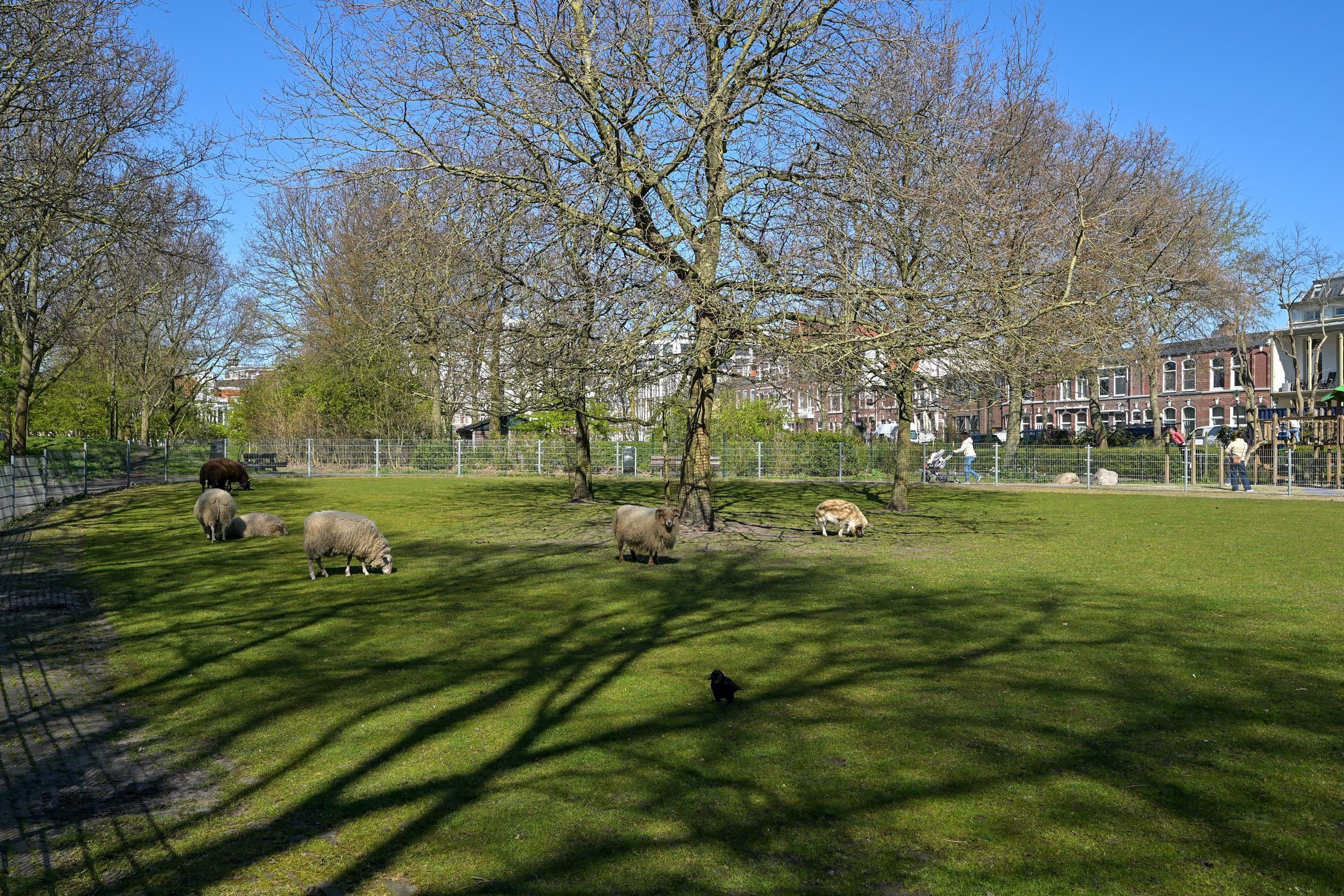 Noordwijkstraat 9 Photo Blur 45