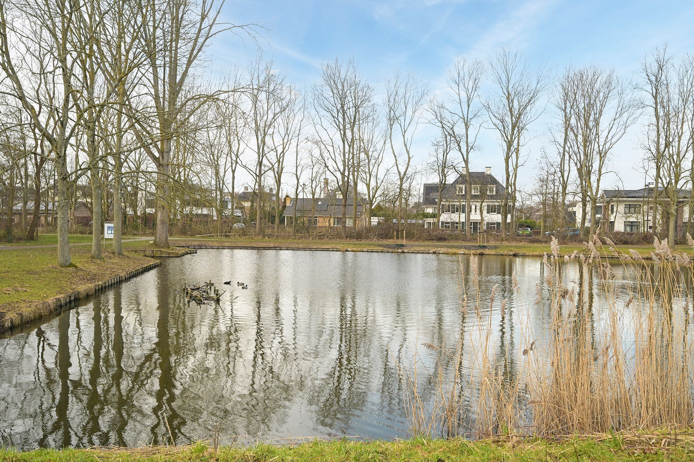 George Seferislaan 5 Photo Blur 35