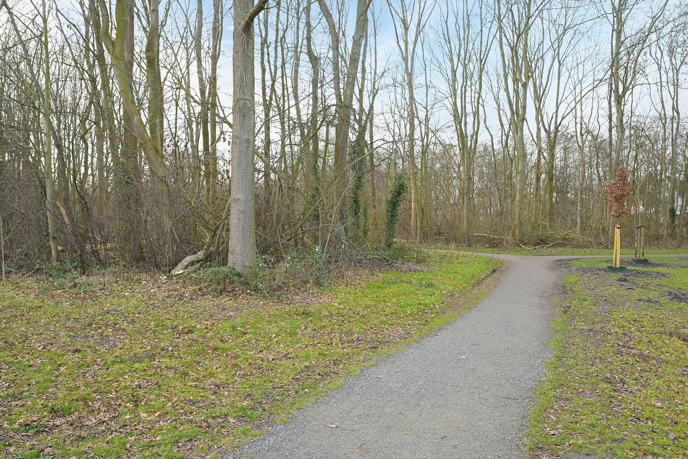 George Seferislaan 5 Photo Blur 36