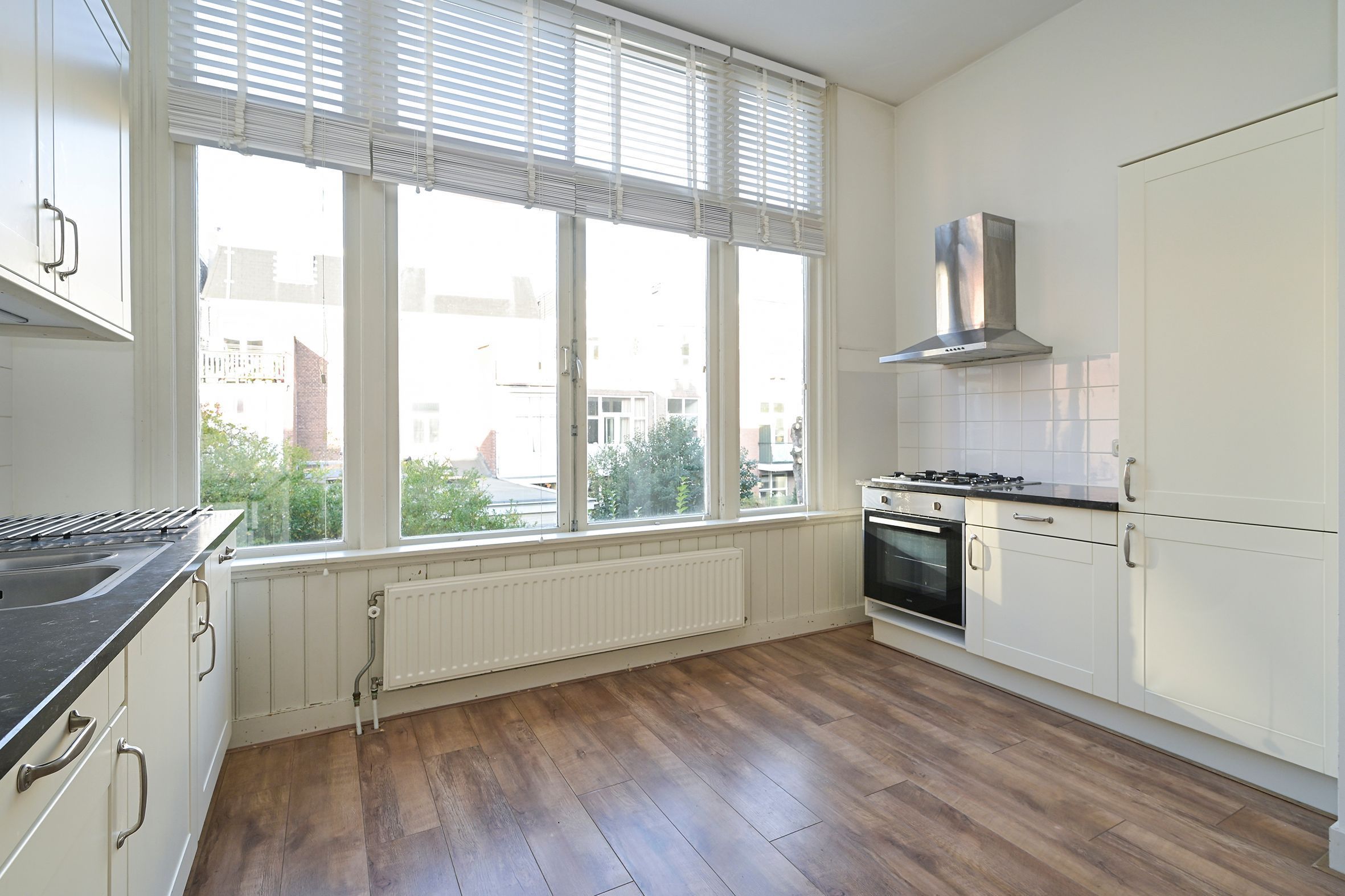 Cornelis de Wittlaan 35-A Photo Blur 8