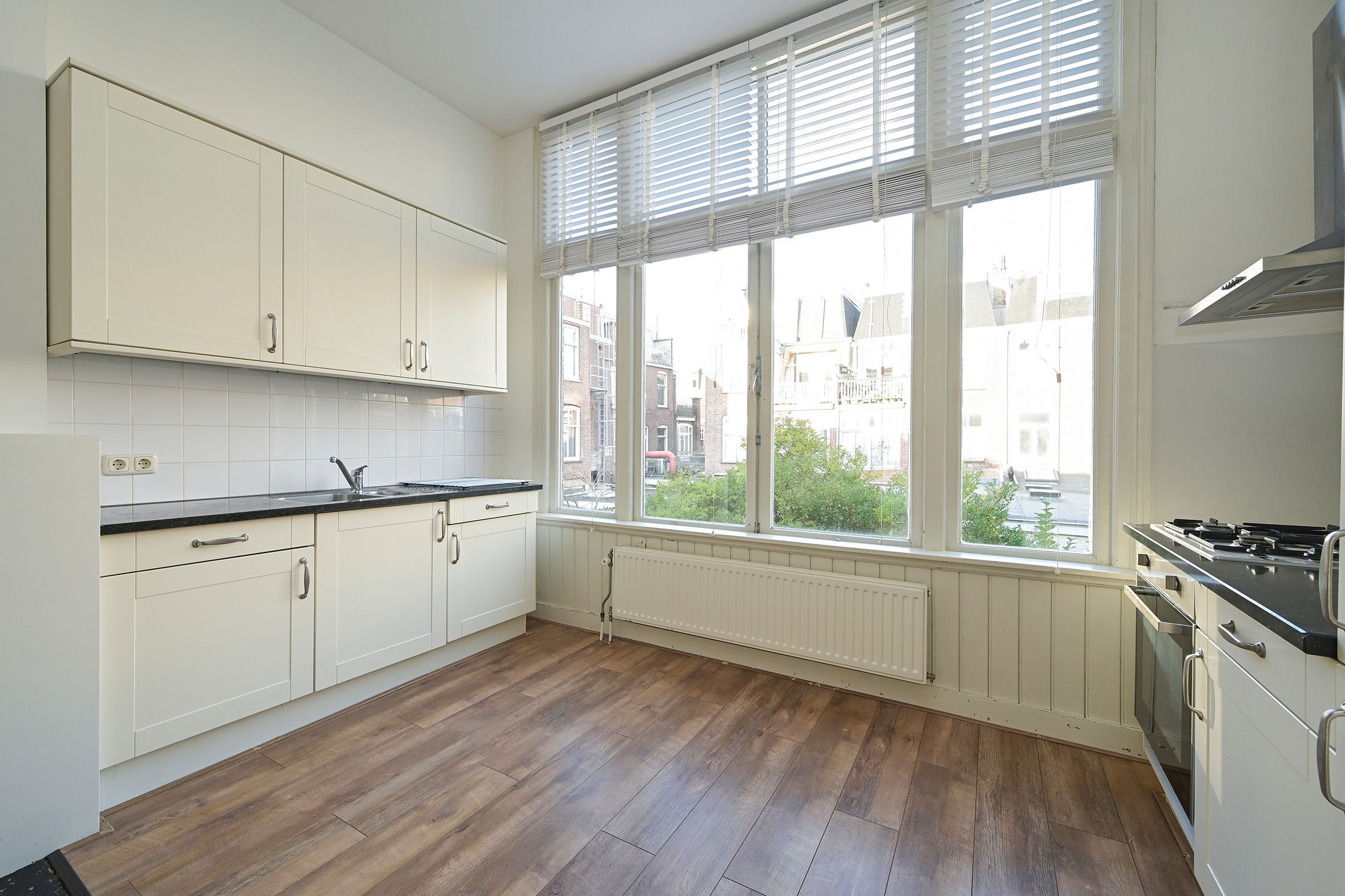 Cornelis de Wittlaan 35-A Photo Blur 9