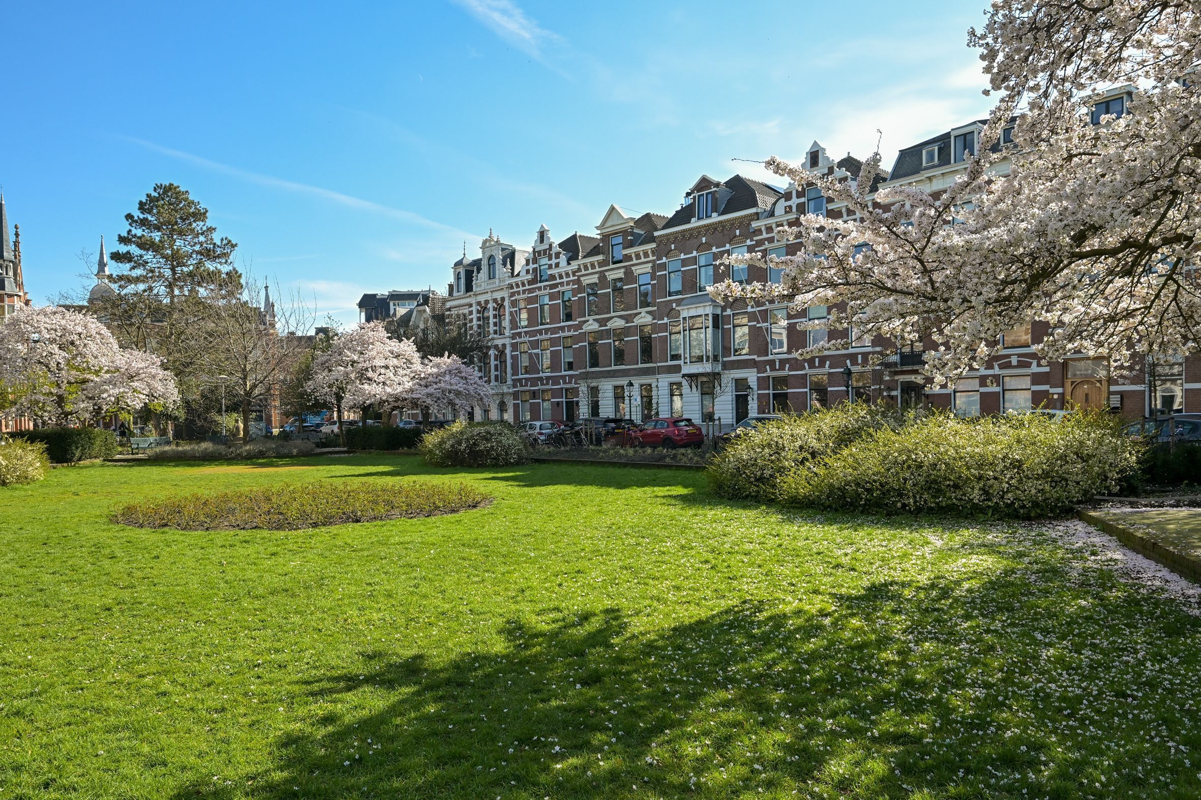 Sweelinckplein 78 Photo Blur 59