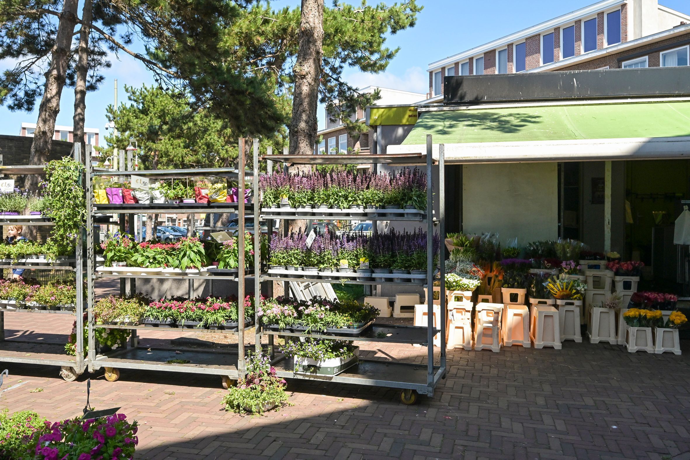 Breezandstraat 5-A Photo Blur 18