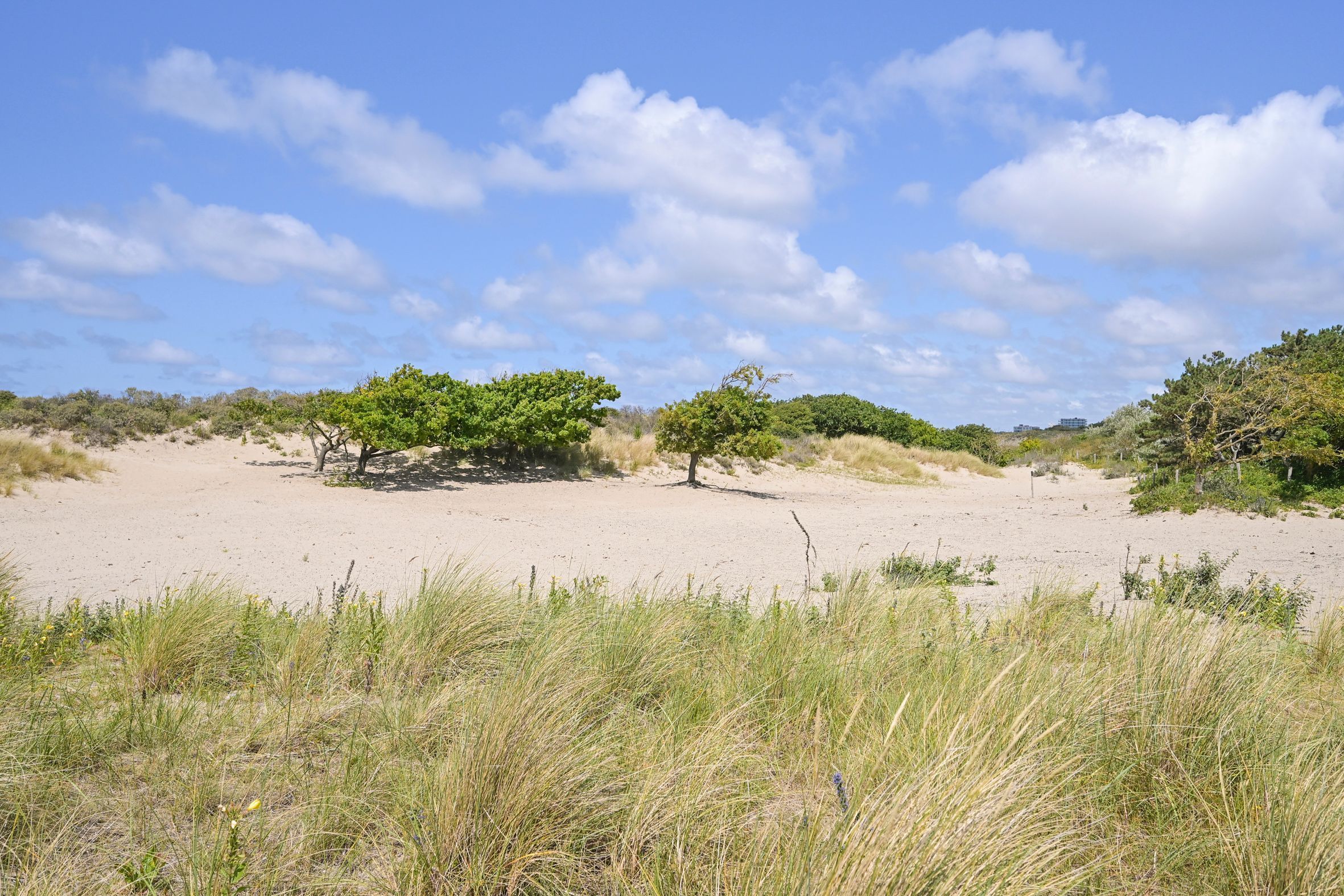 Breezandstraat 5-A Photo Blur 21