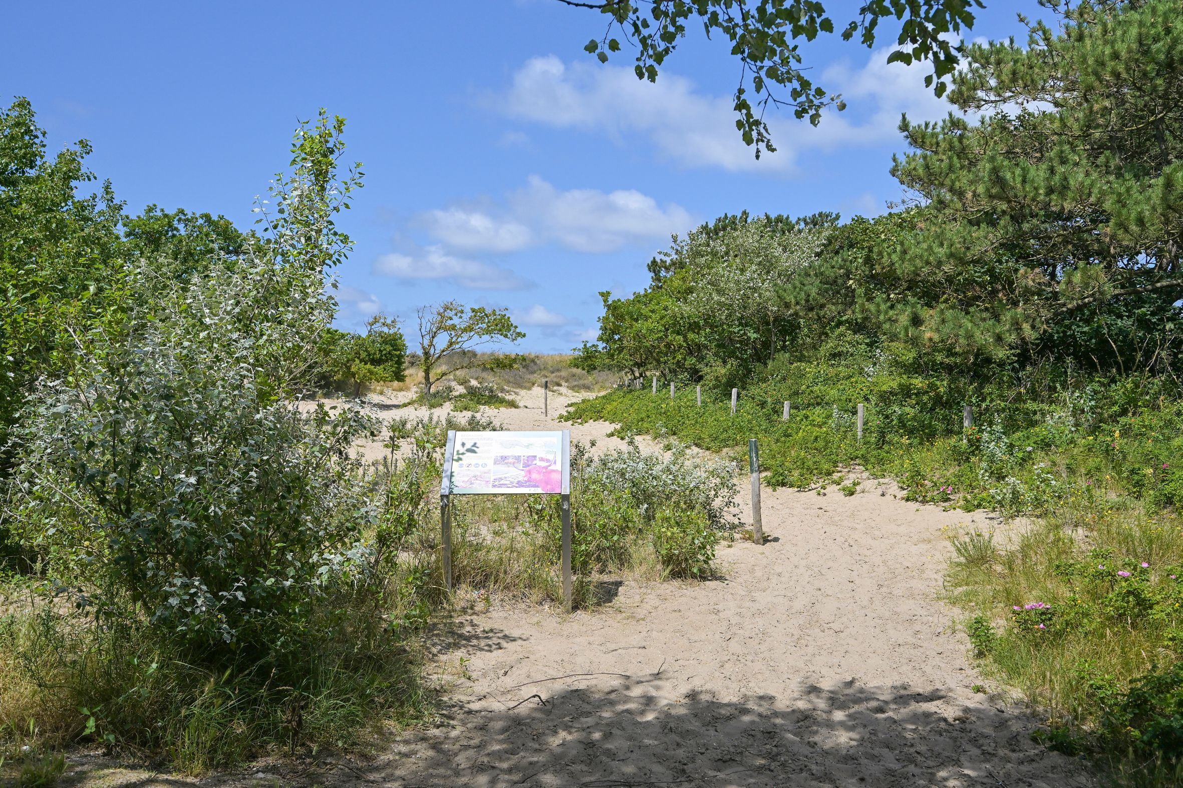 Breezandstraat 5-A Photo Blur 20