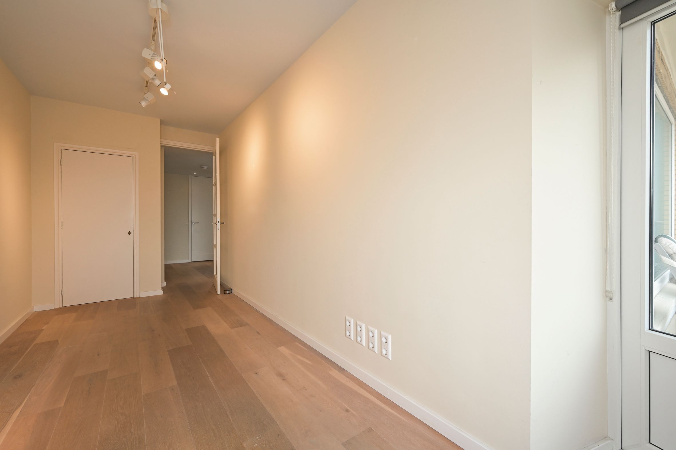 Zeekant 102-C Photo Blur 21