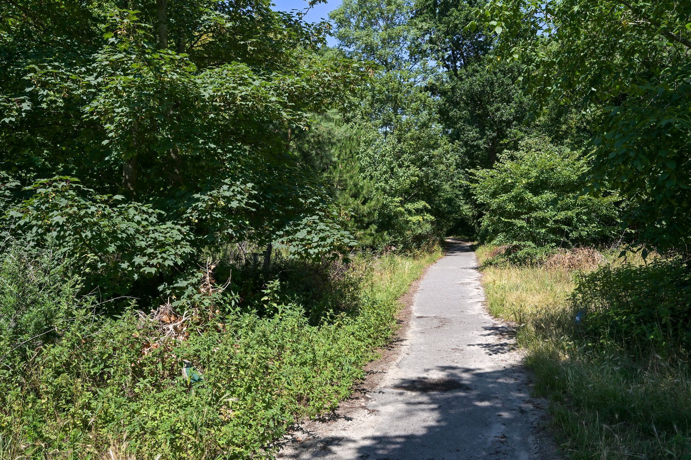 Badhuisweg 203-A Photo Blur 34