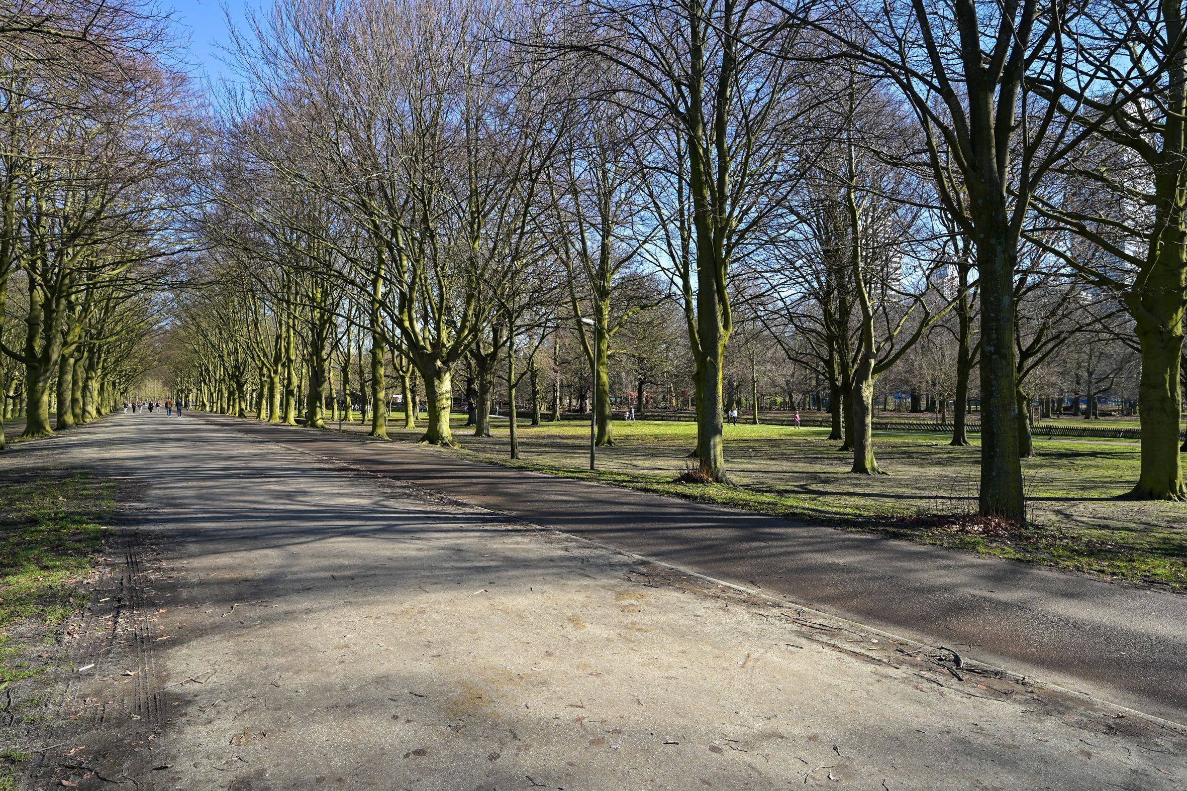 Anna van Buerenplein 214 Photo Blur 28