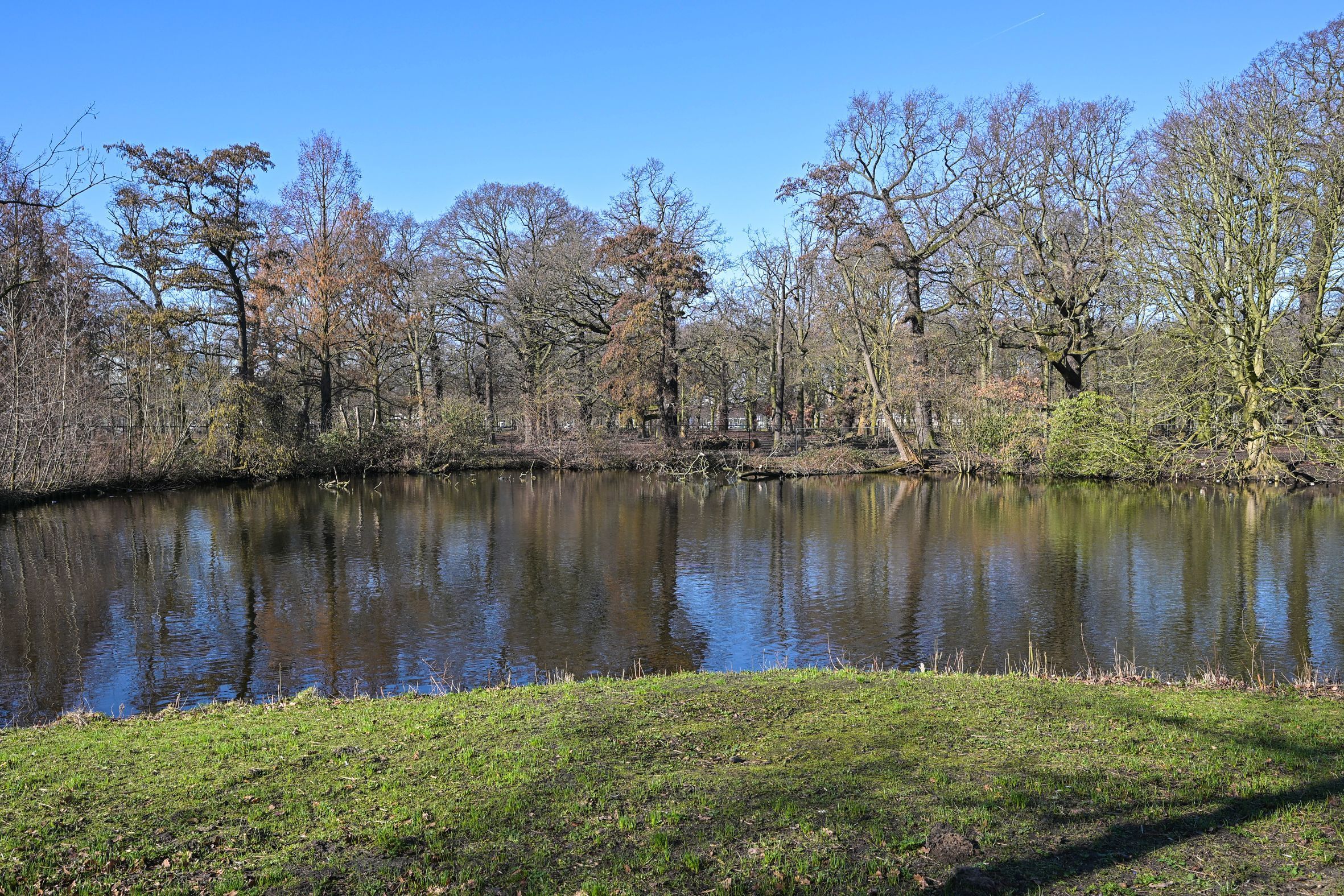 Anna van Buerenplein 214 Photo Blur 31