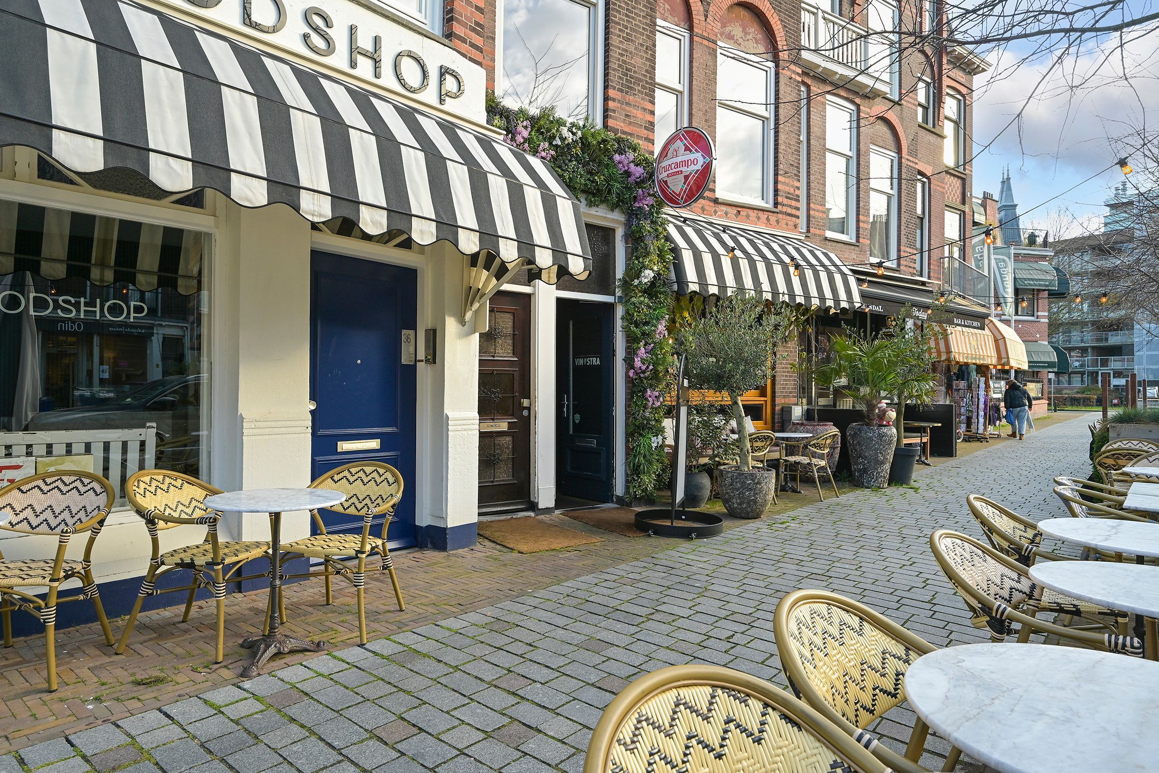 Cornelis de Wittlaan 35-A Photo Blur 17