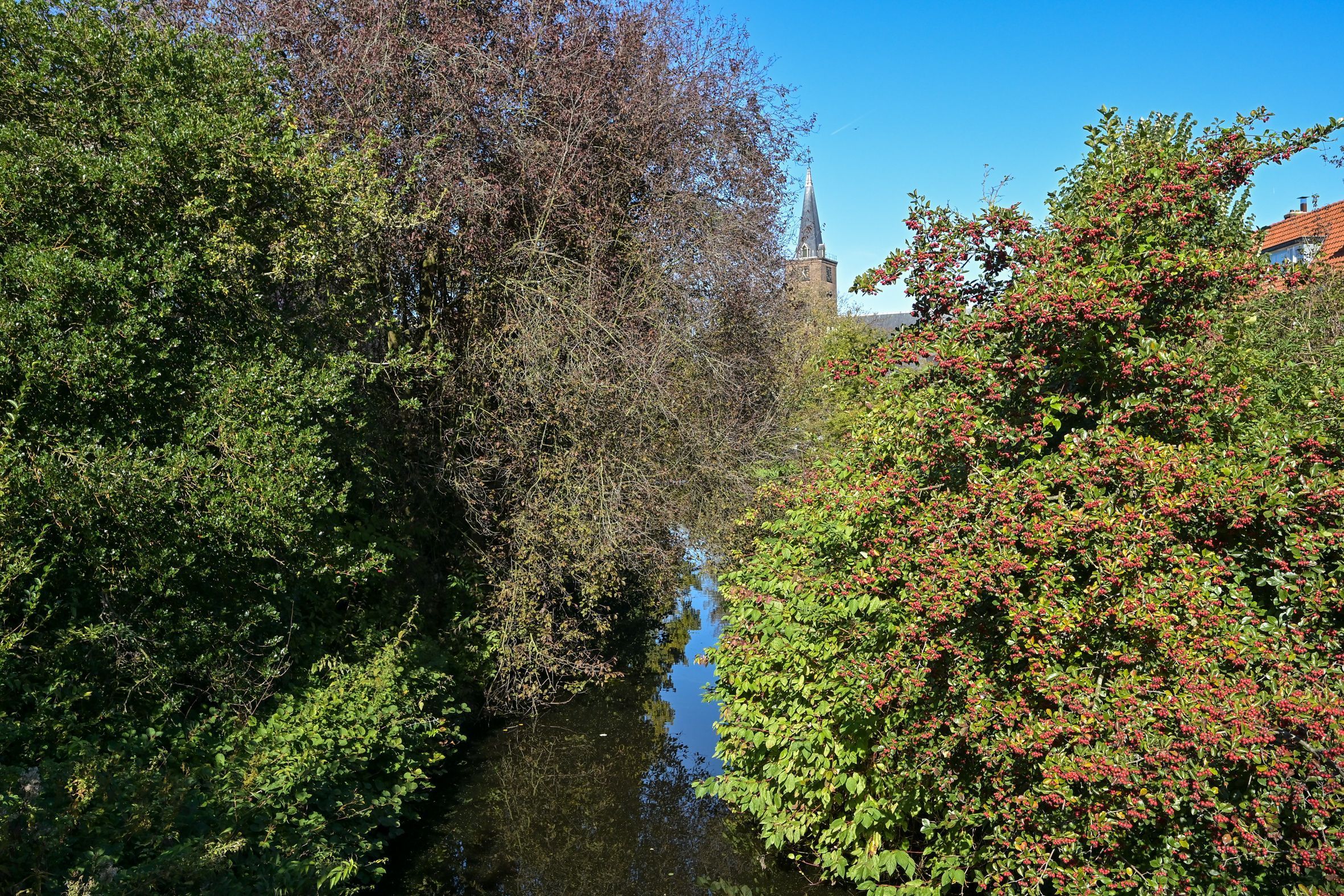 Weissenbruchstraat 105 Photo Blur 48