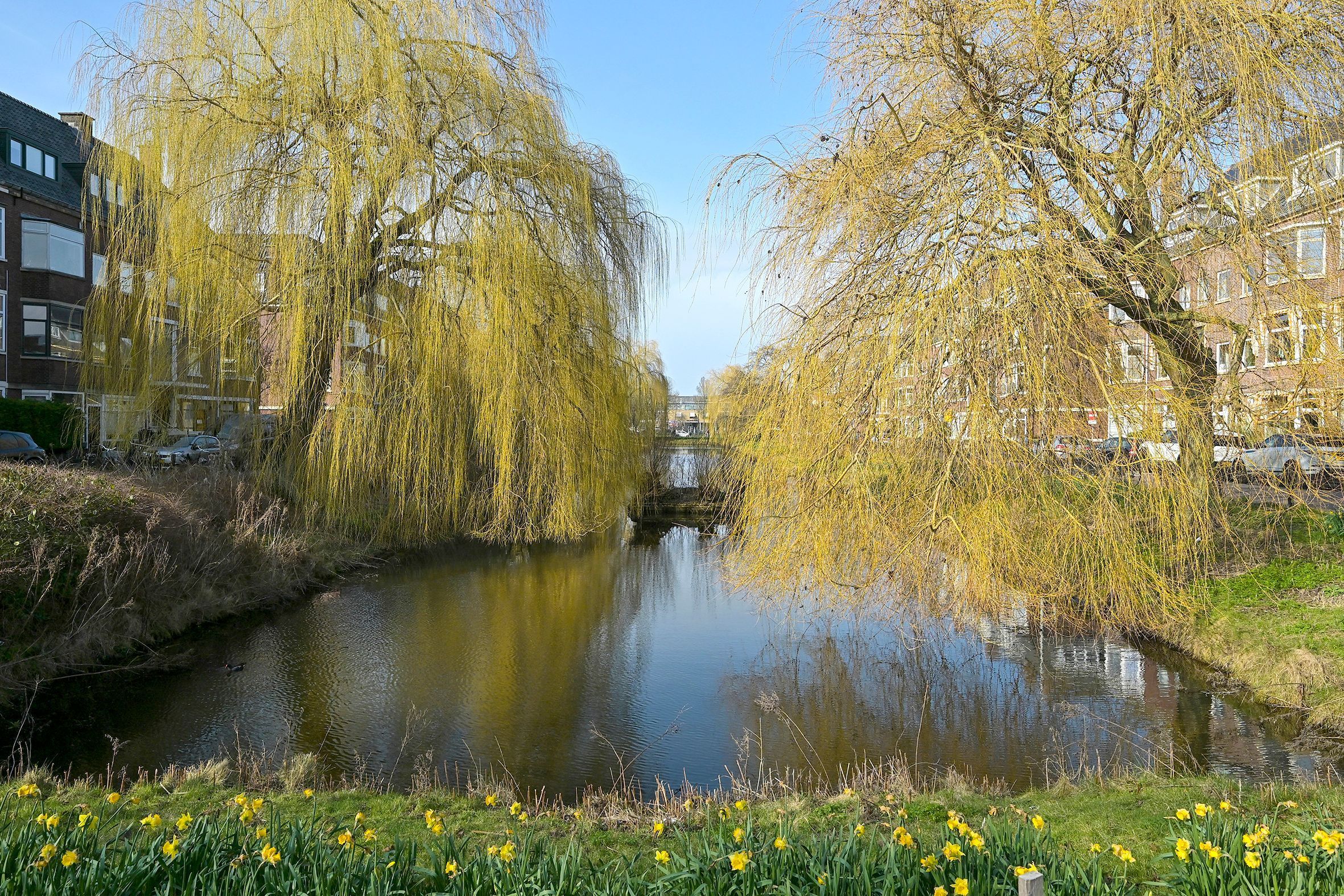 Morelstraat 24 Photo Blur 31