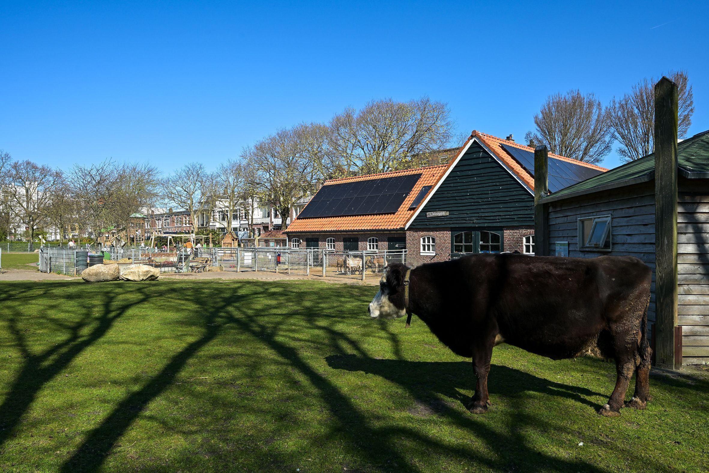 Noordwijkstraat 9 Photo Blur 46