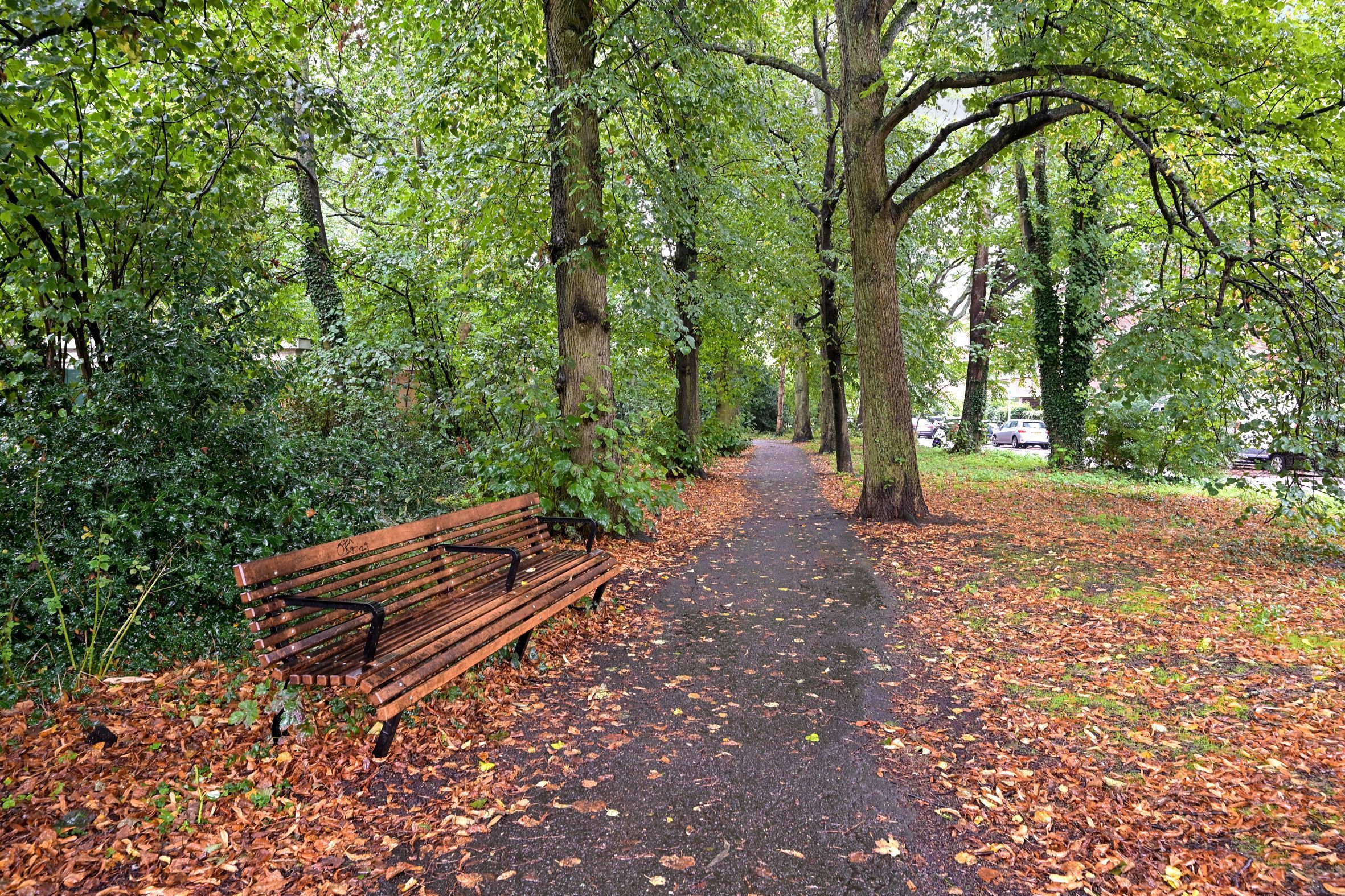 Van Kijfhoeklaan 24 Photo Blur 24