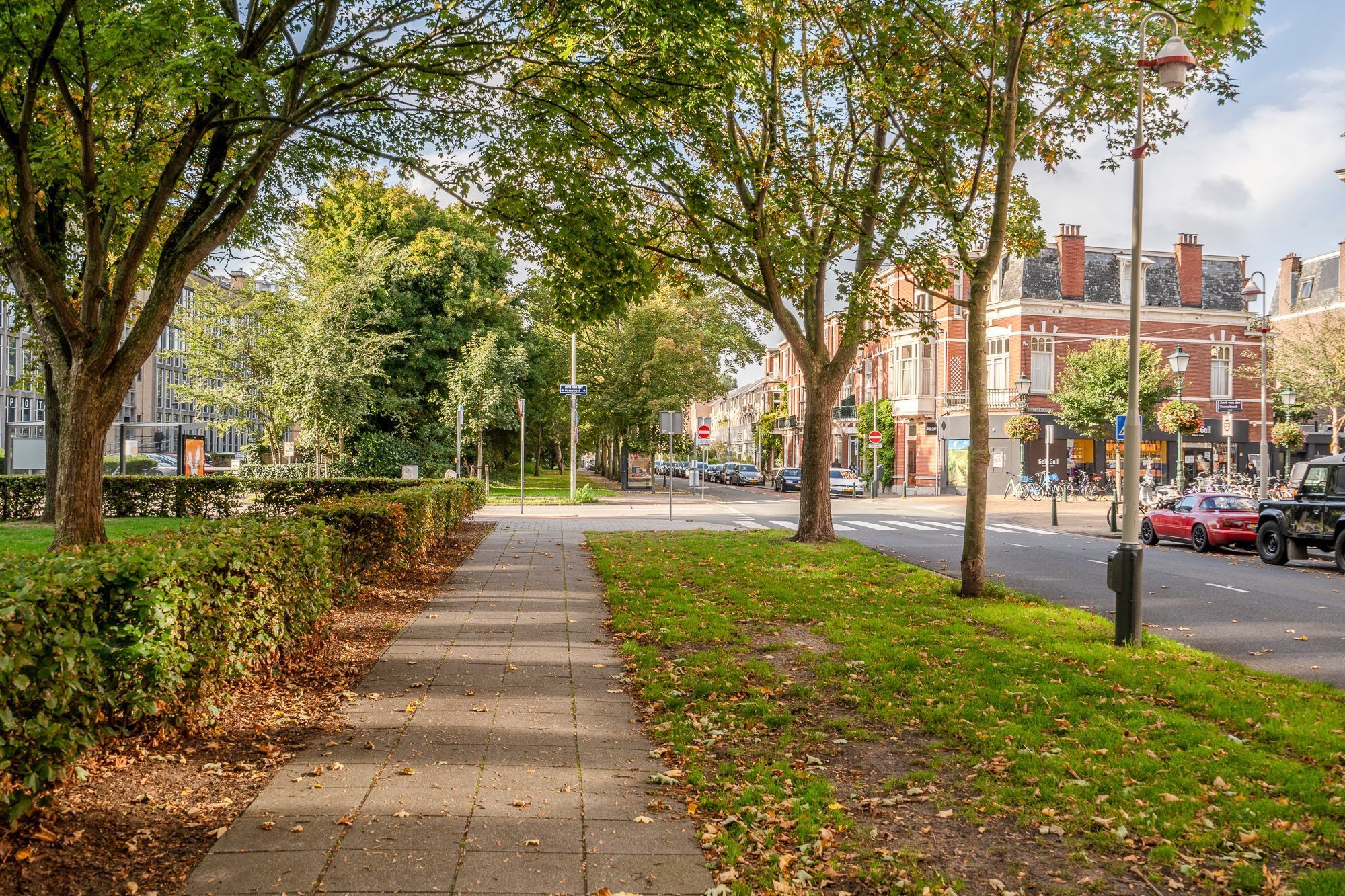 Cornelis de Wittlaan 35-B Photo Blur 21