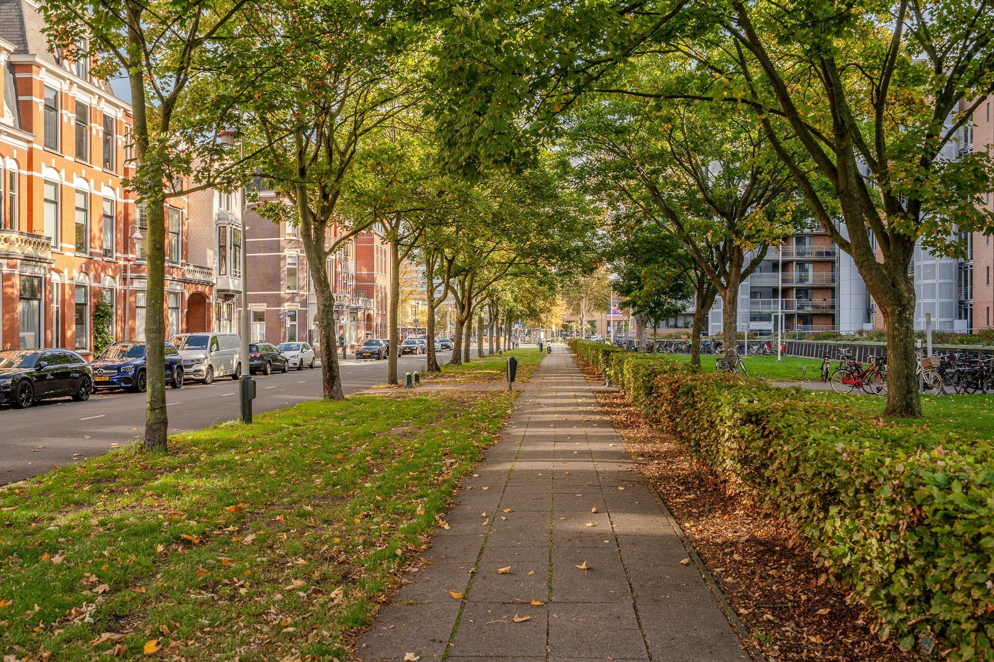 Cornelis de Wittlaan 35-B Photo Blur 22