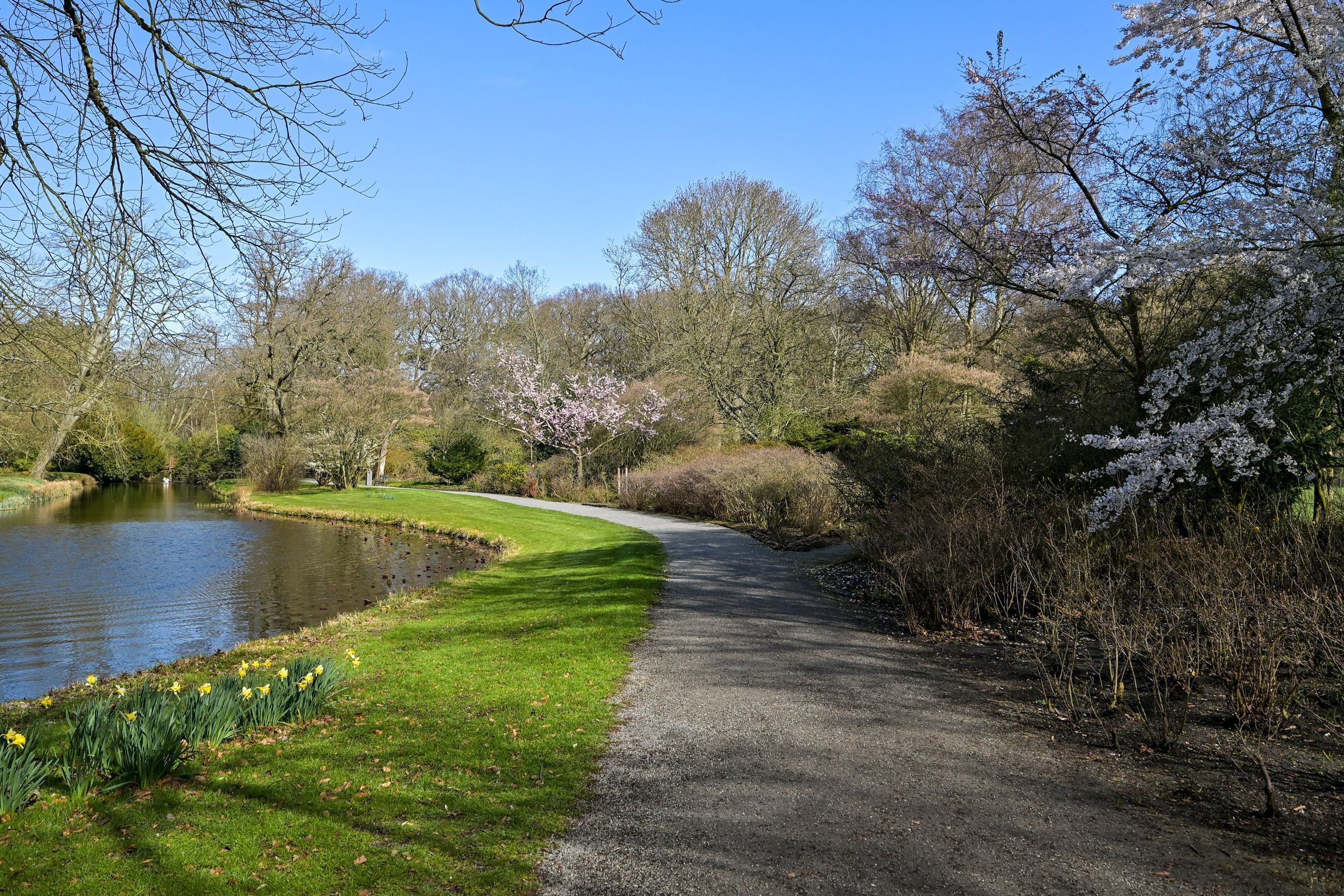 Breitnerlaan 292 Photo Blur 20