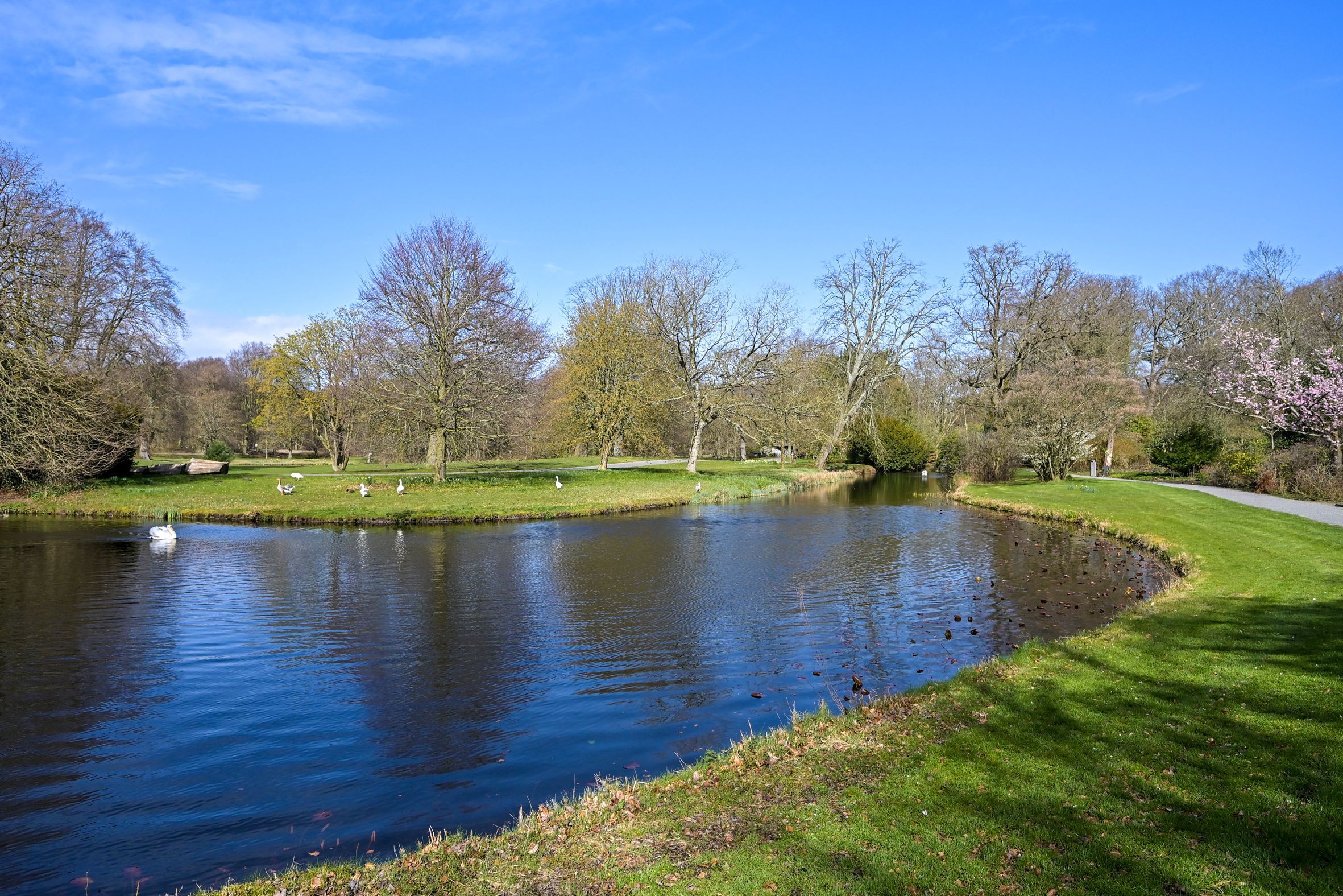 Breitnerlaan 292 Photo Blur 21