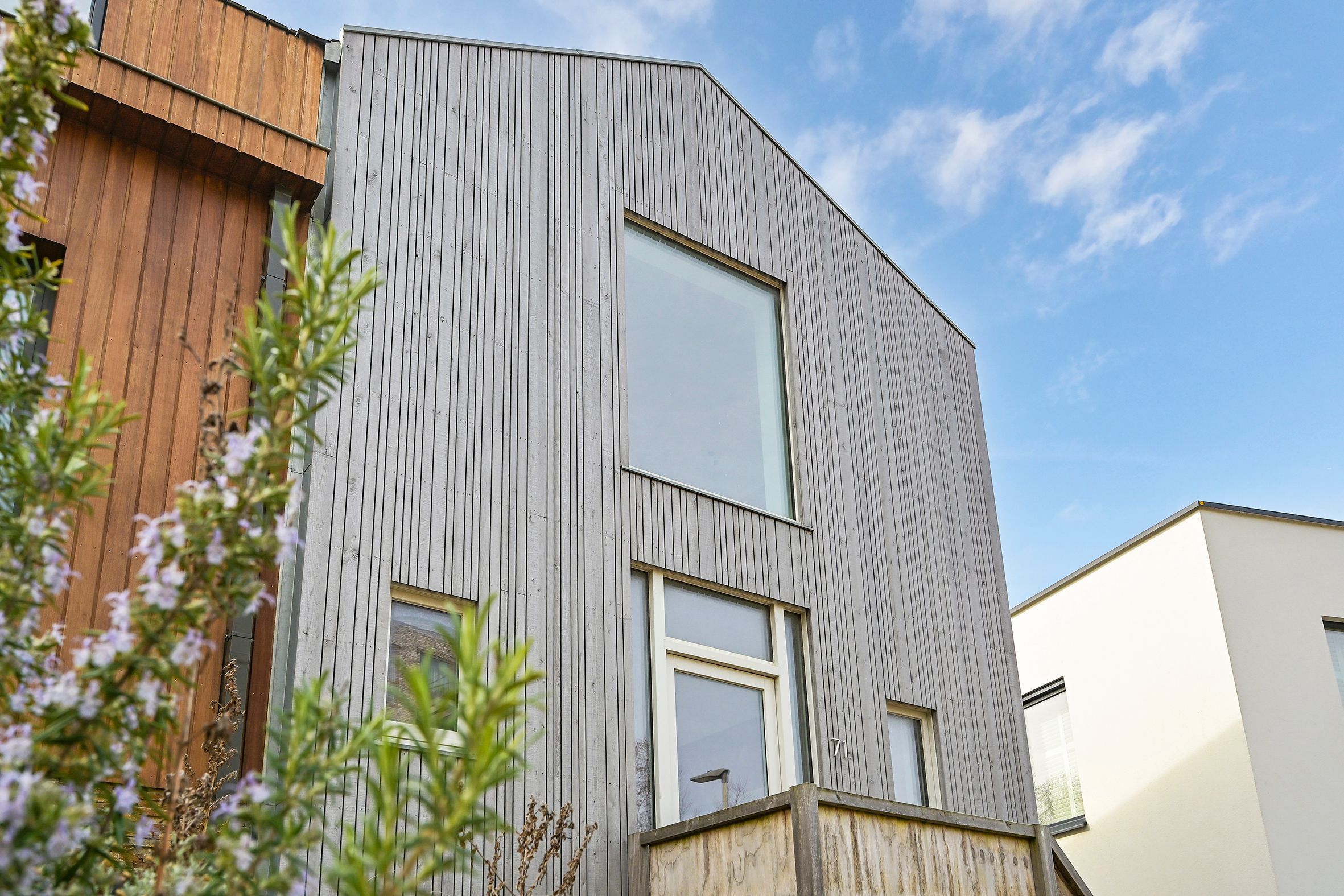 Duinslag 71 Photo Blur 18