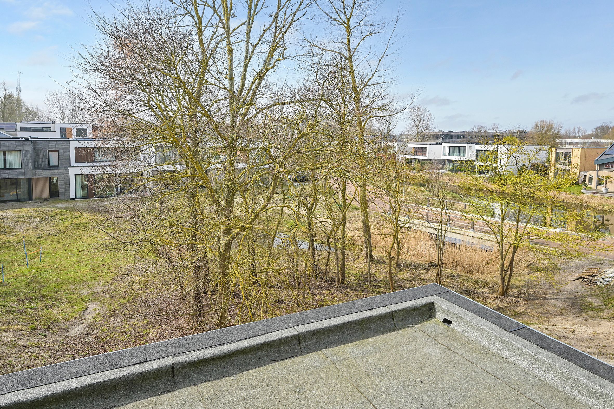 Duinslag 71 Photo Blur 12