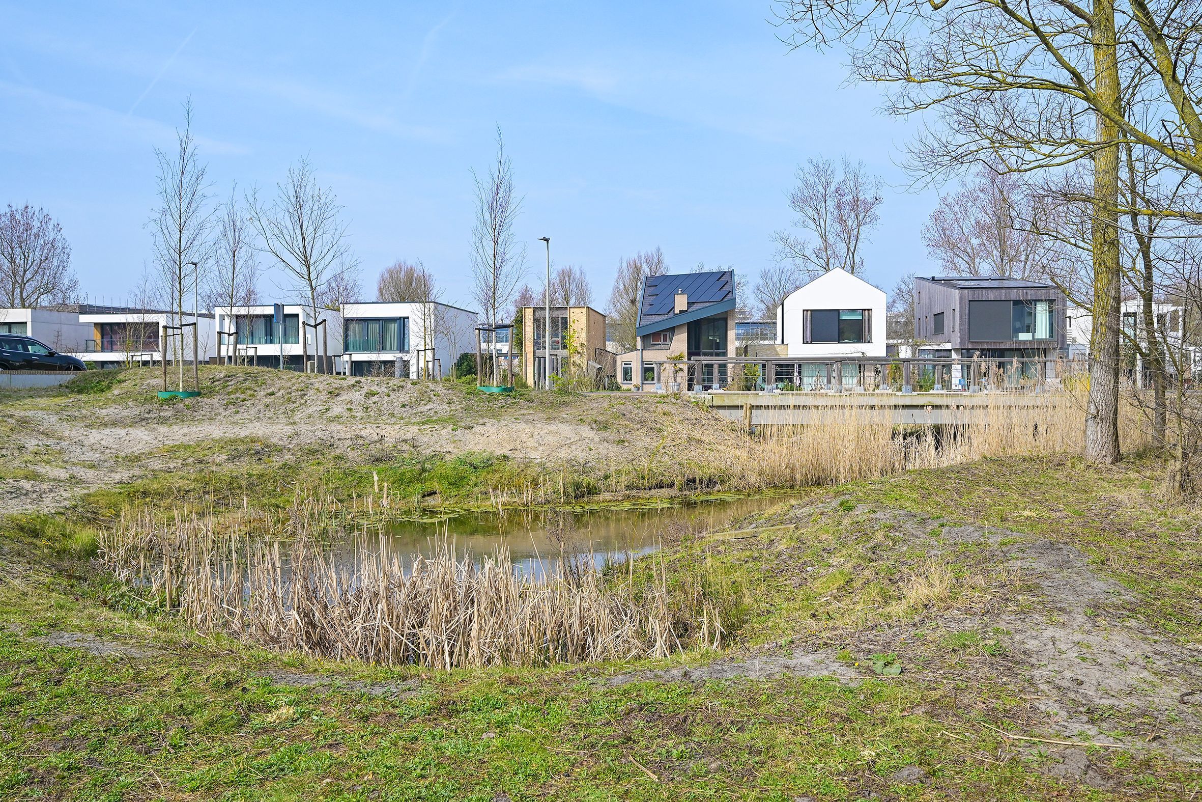 Duinslag 71 Photo Blur 20