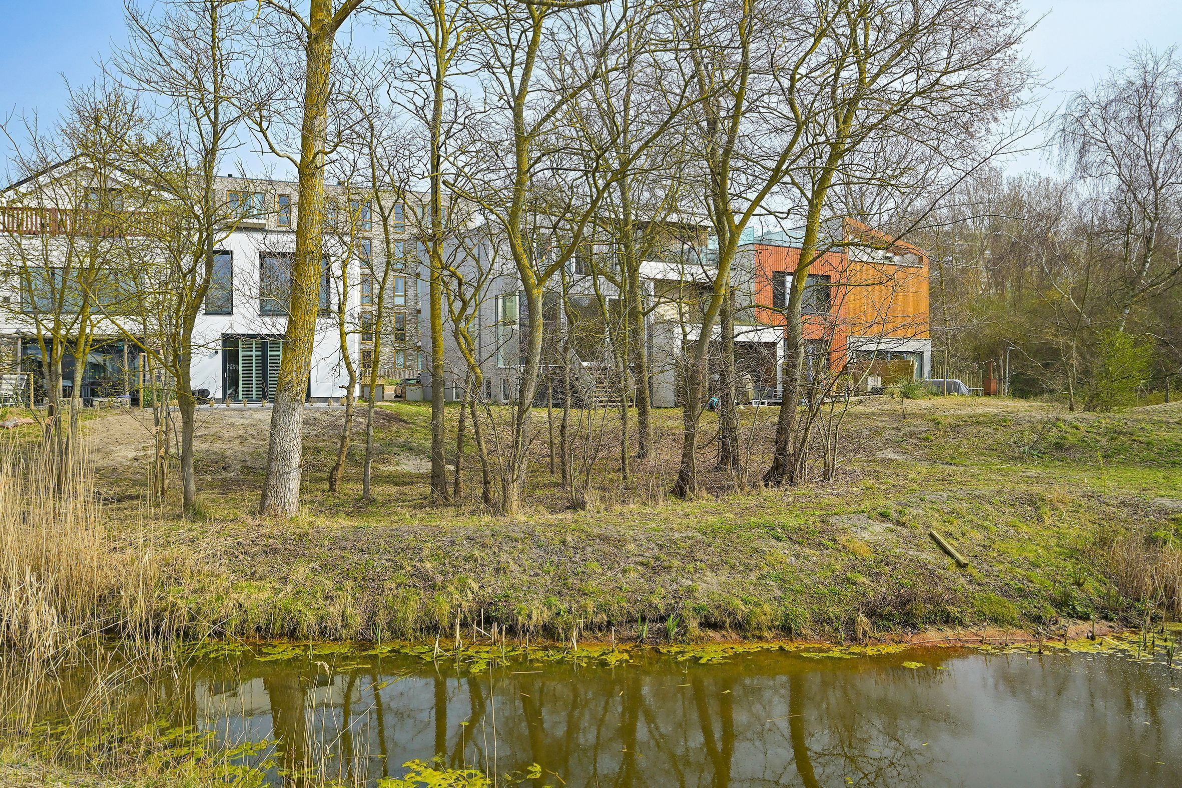 Duinslag 71 Photo Blur 21