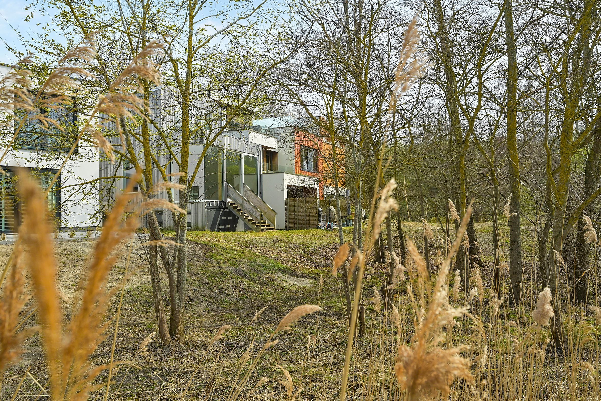 Duinslag 71 Photo Blur 22