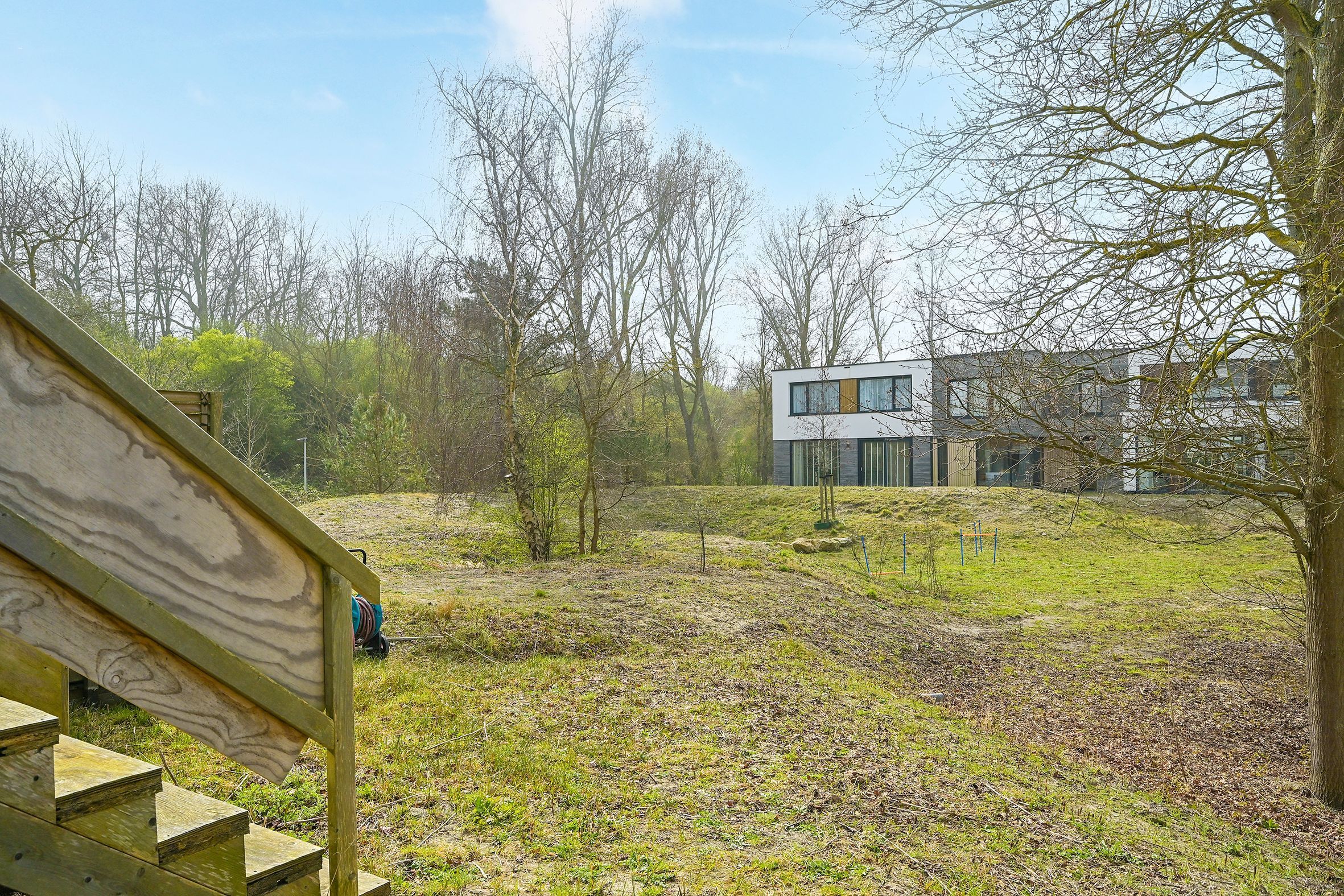 Duinslag 71 Photo Blur 23