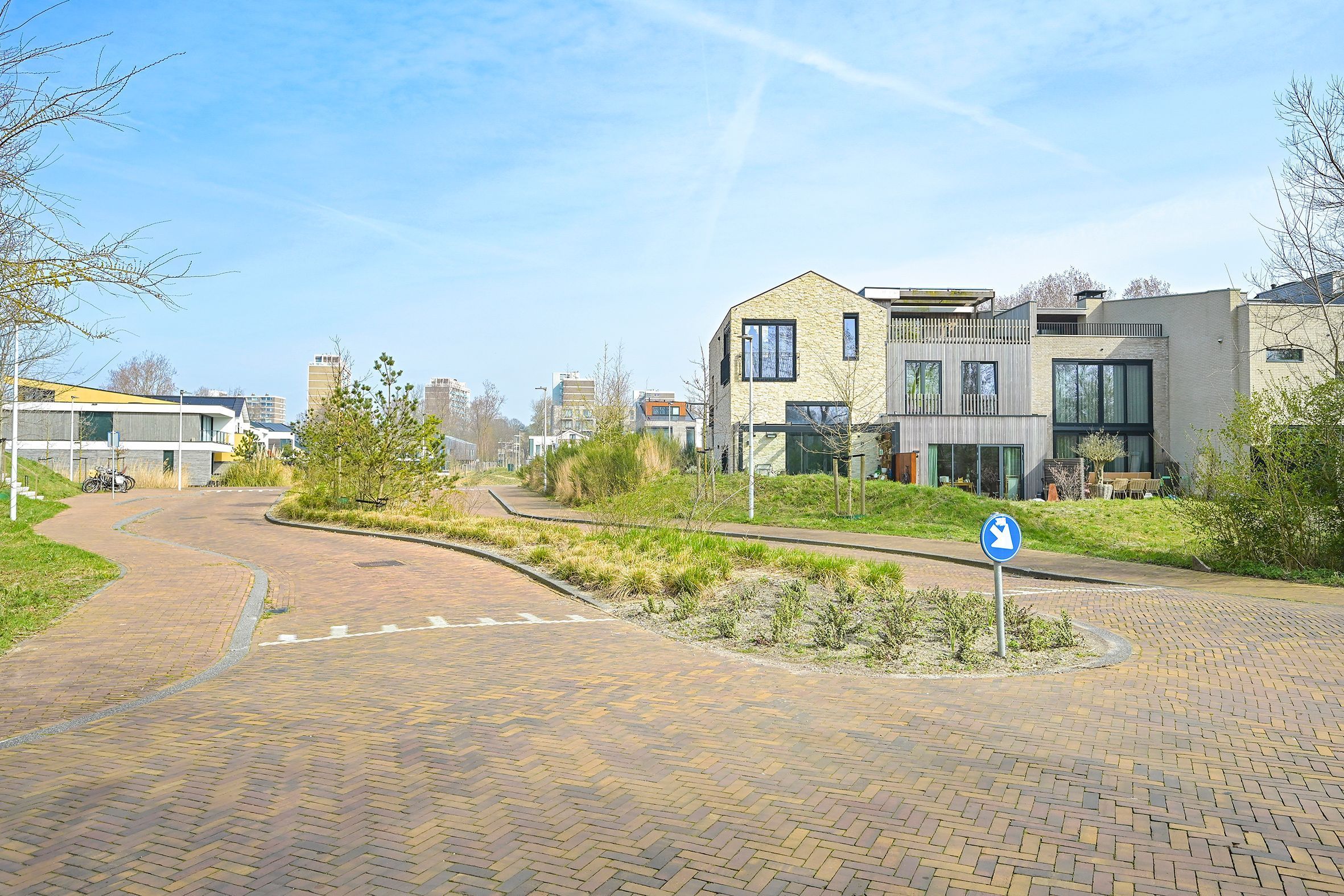 Duinslag 71 Photo Blur 24