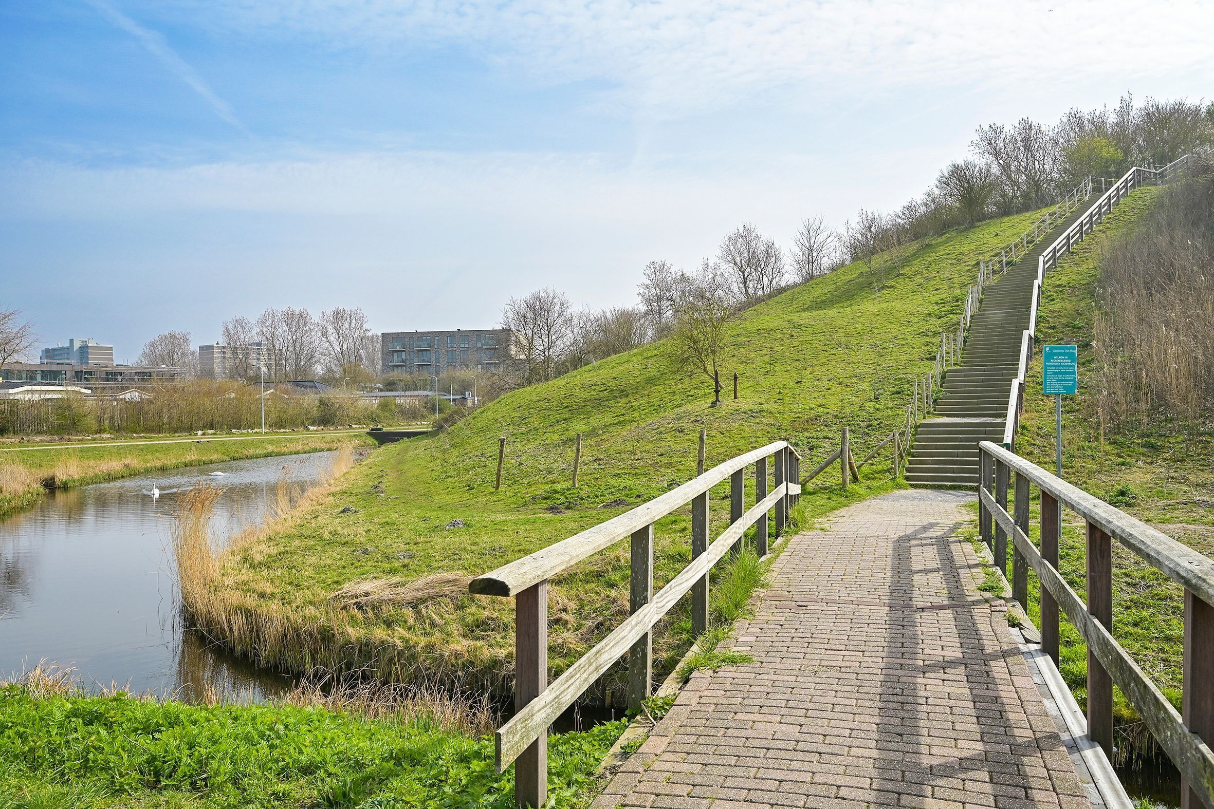 Duinslag 71 Photo Blur 25