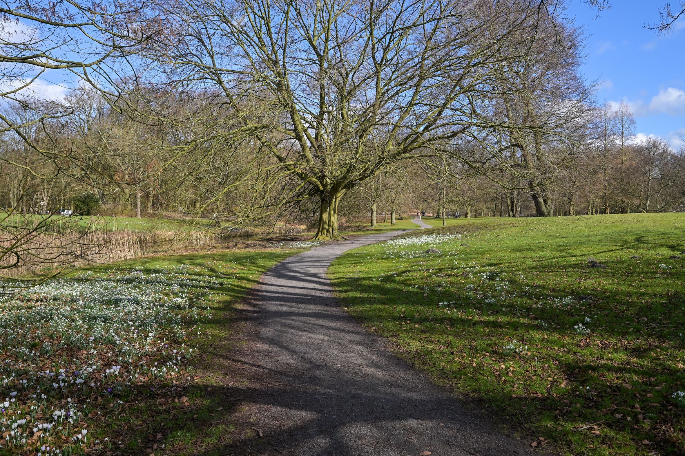 Ary Schefferstraat 22 Photo Blur 32