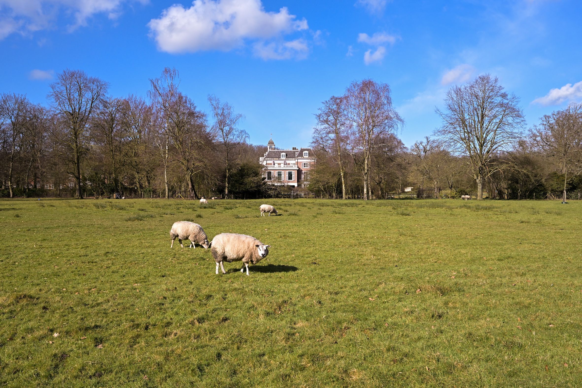 Van Alkemadelaan 646 Photo Blur 42