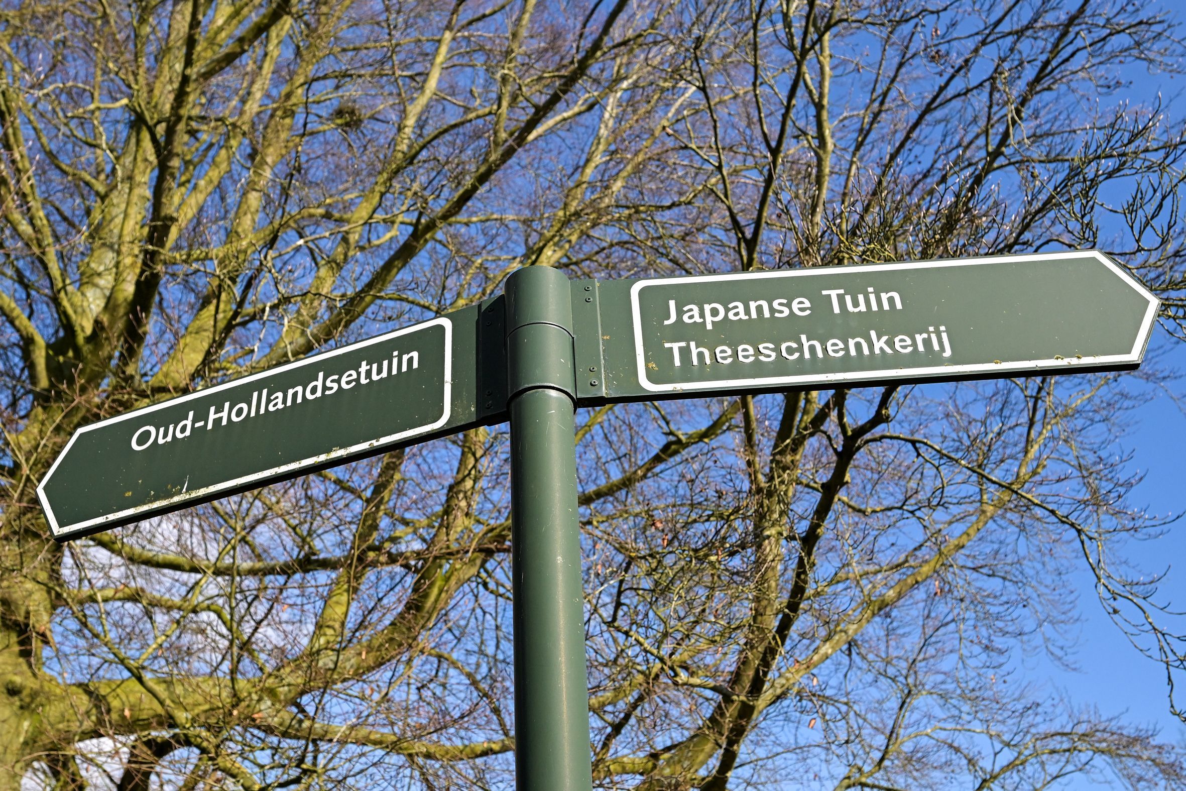 Van Alkemadelaan 646 Photo Blur 43